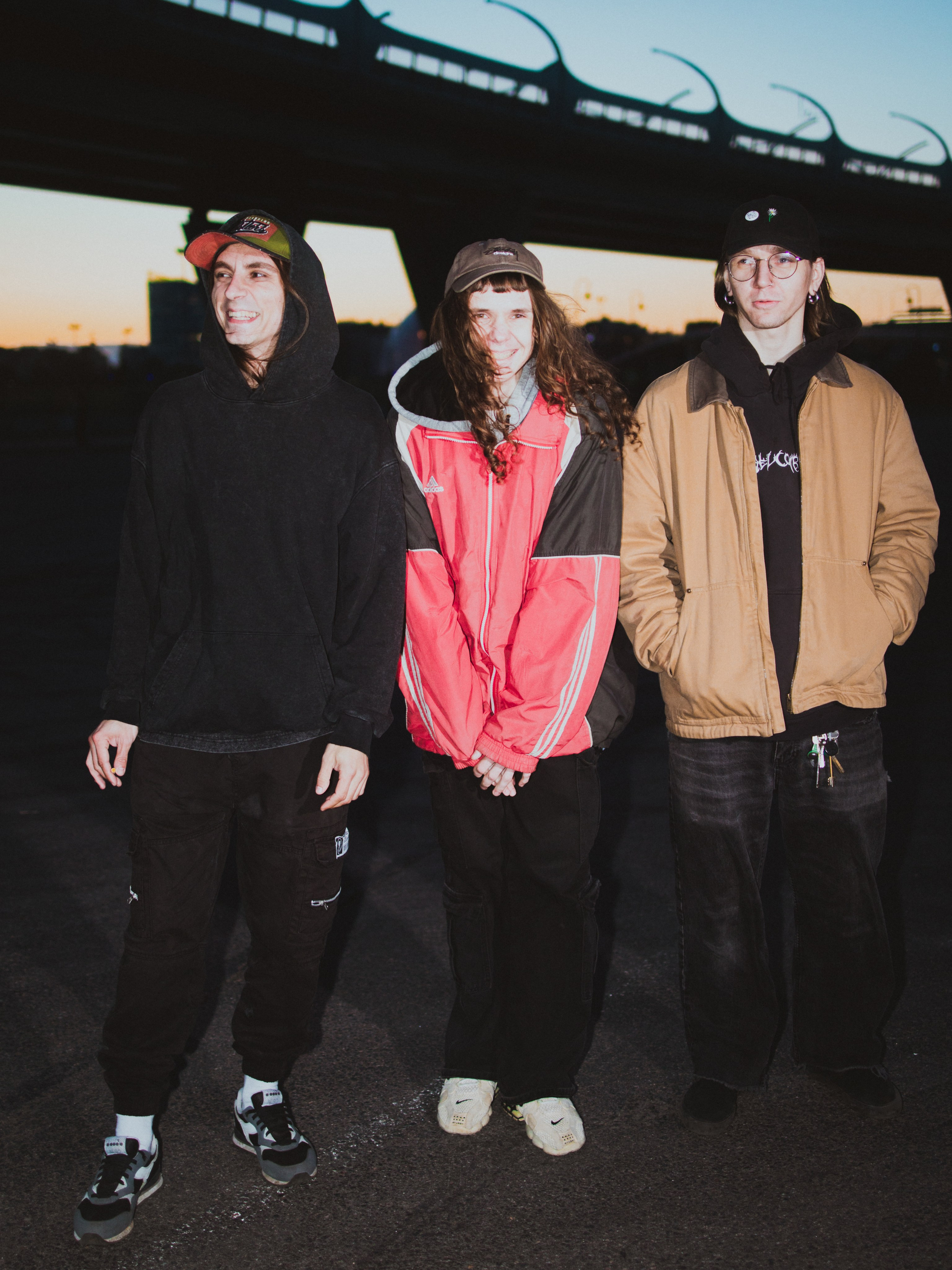 Дс. Анна Мильч