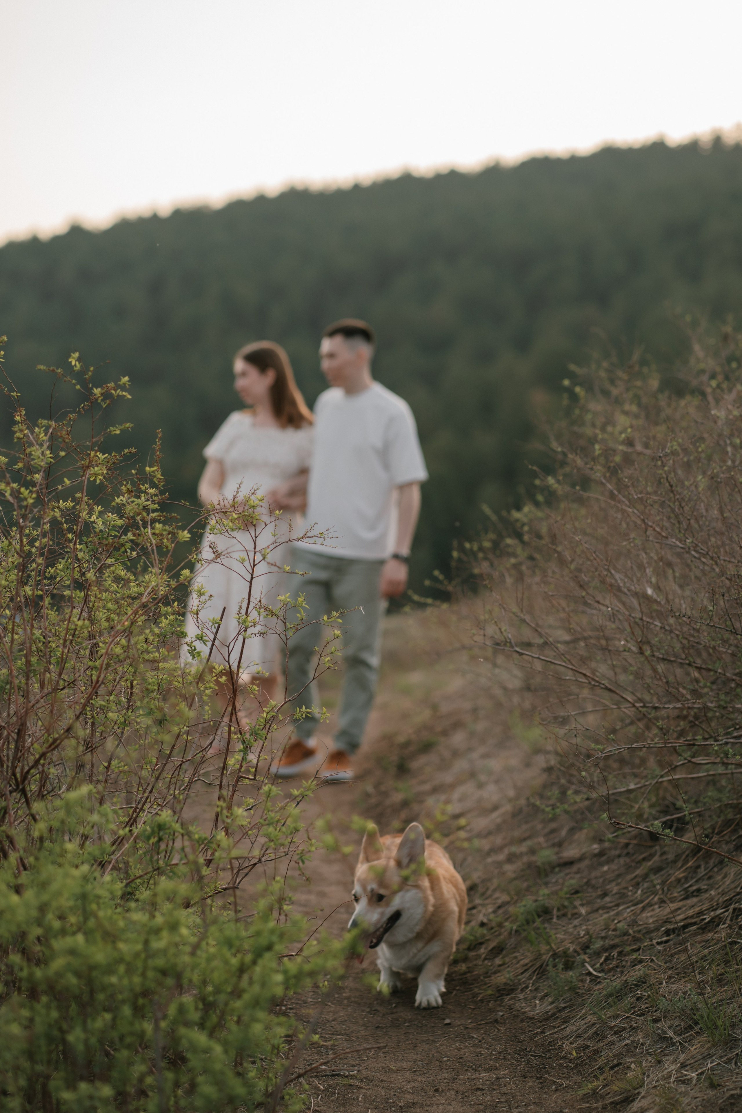 На закате. Евгения Арефьева — свадебный и портретный фотограф в Чите