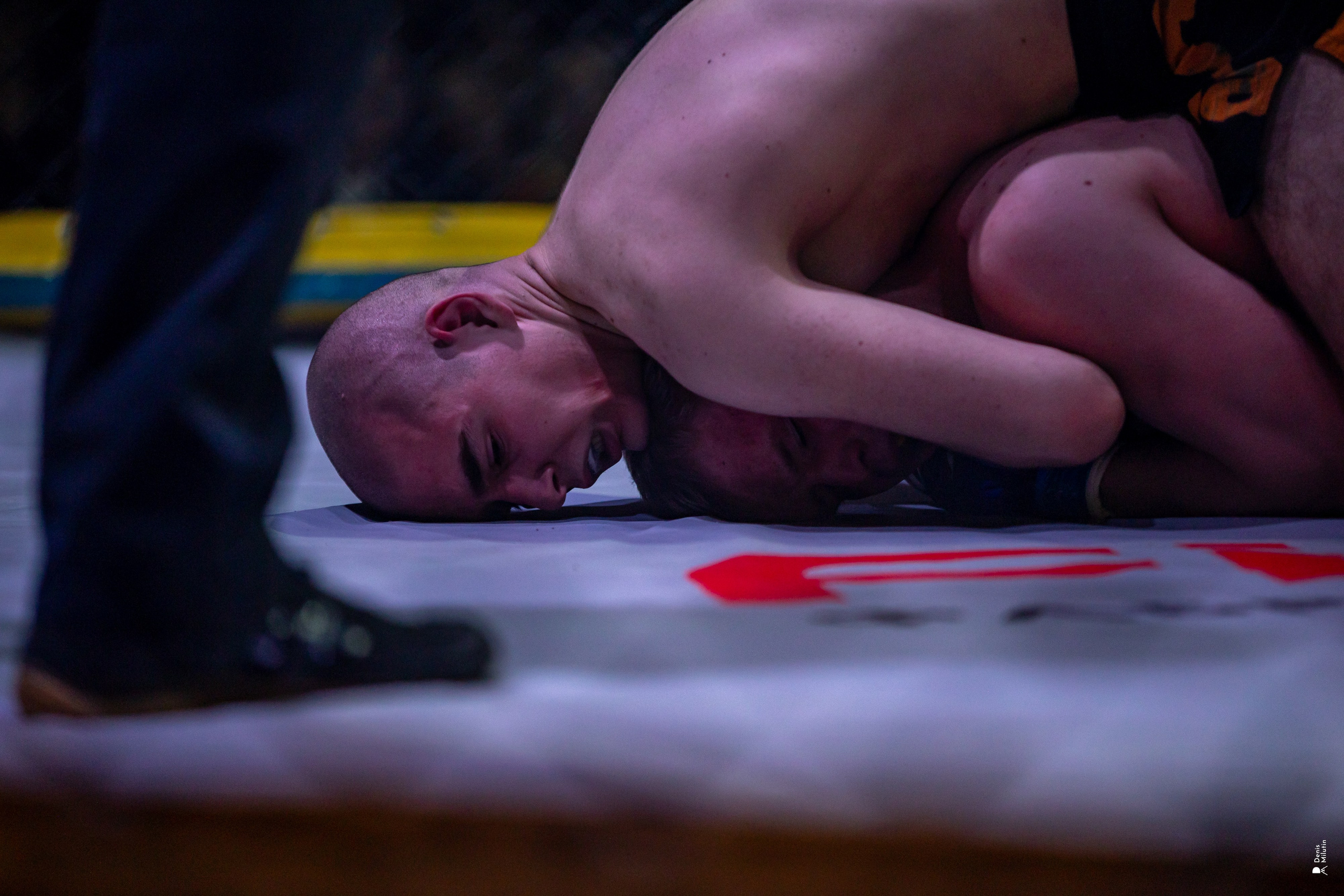 Бои в клетке «Северный Воин». Портретный фотограф Денис Милютин