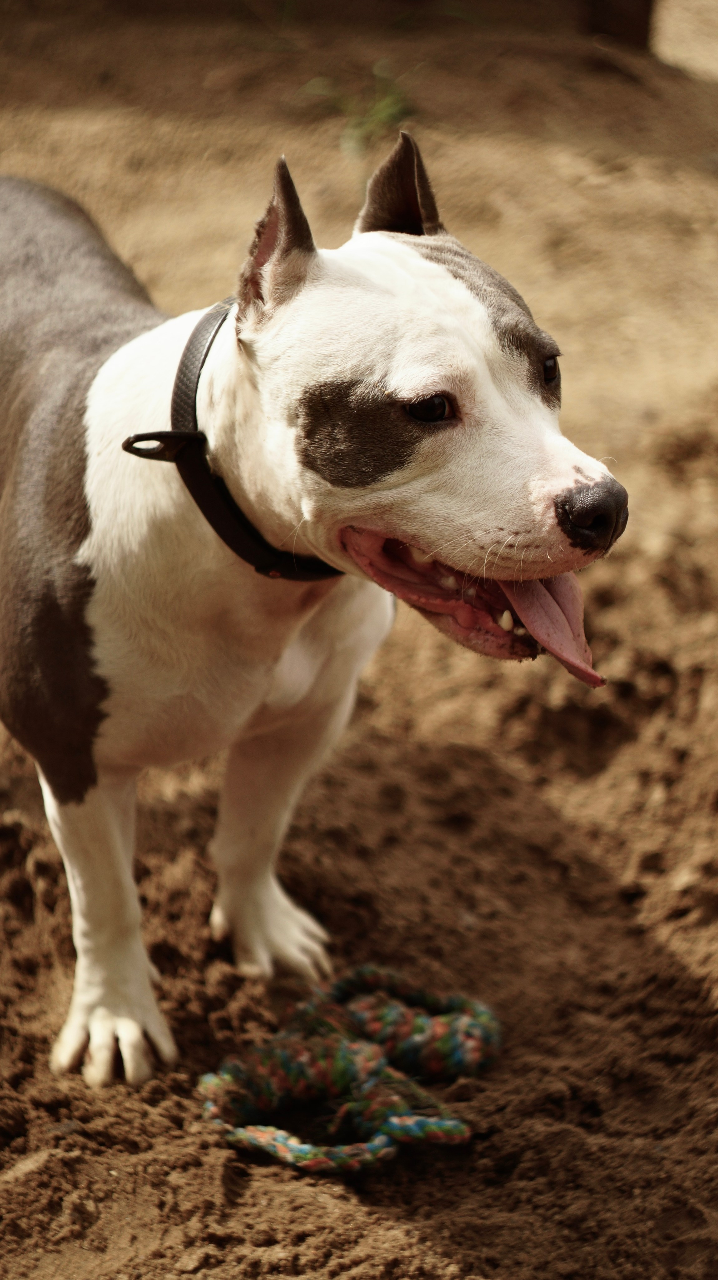 Луна. Профессиональный фотограф
