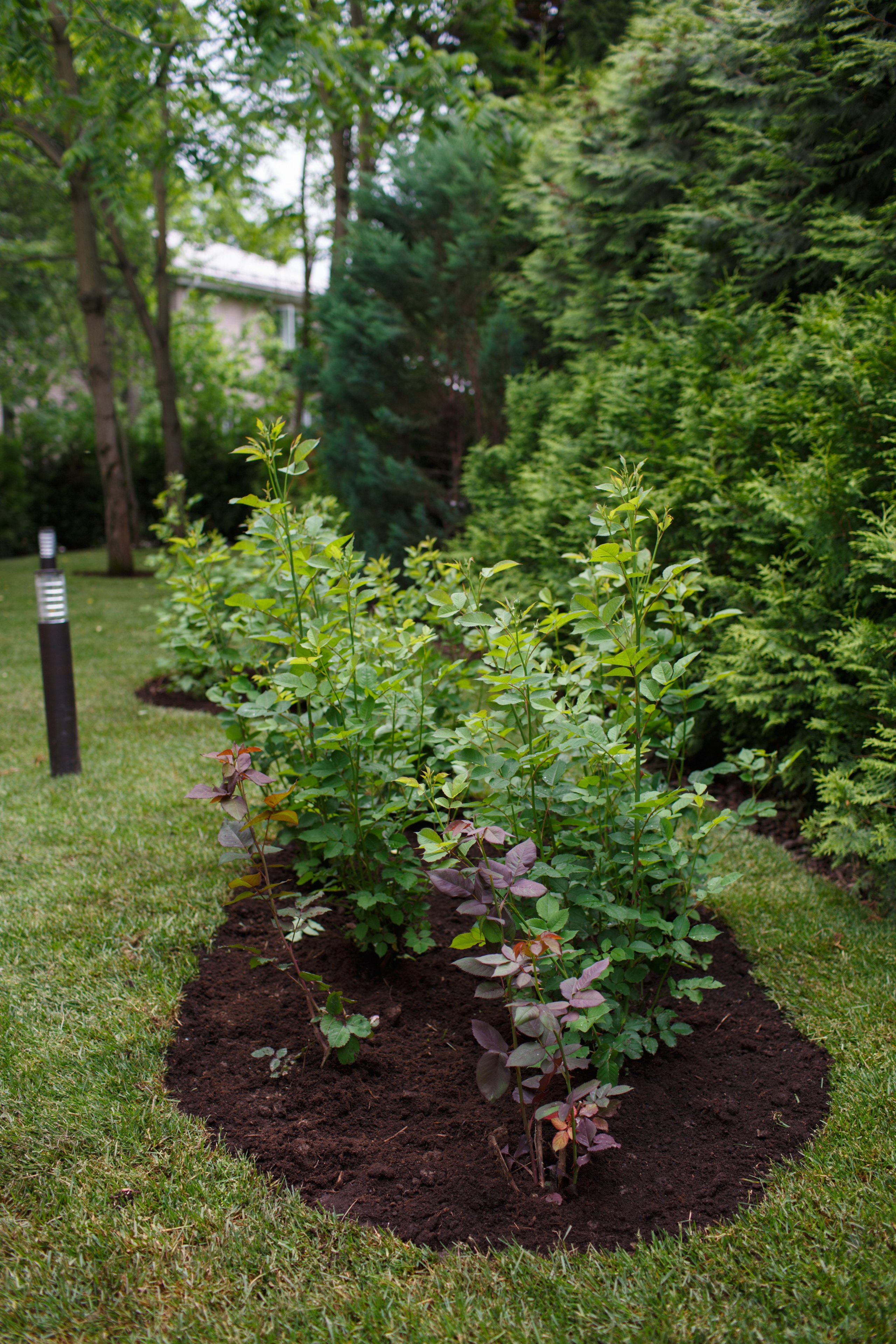 Ландшафтный дизайн. Фотограф Наталья Молчанова