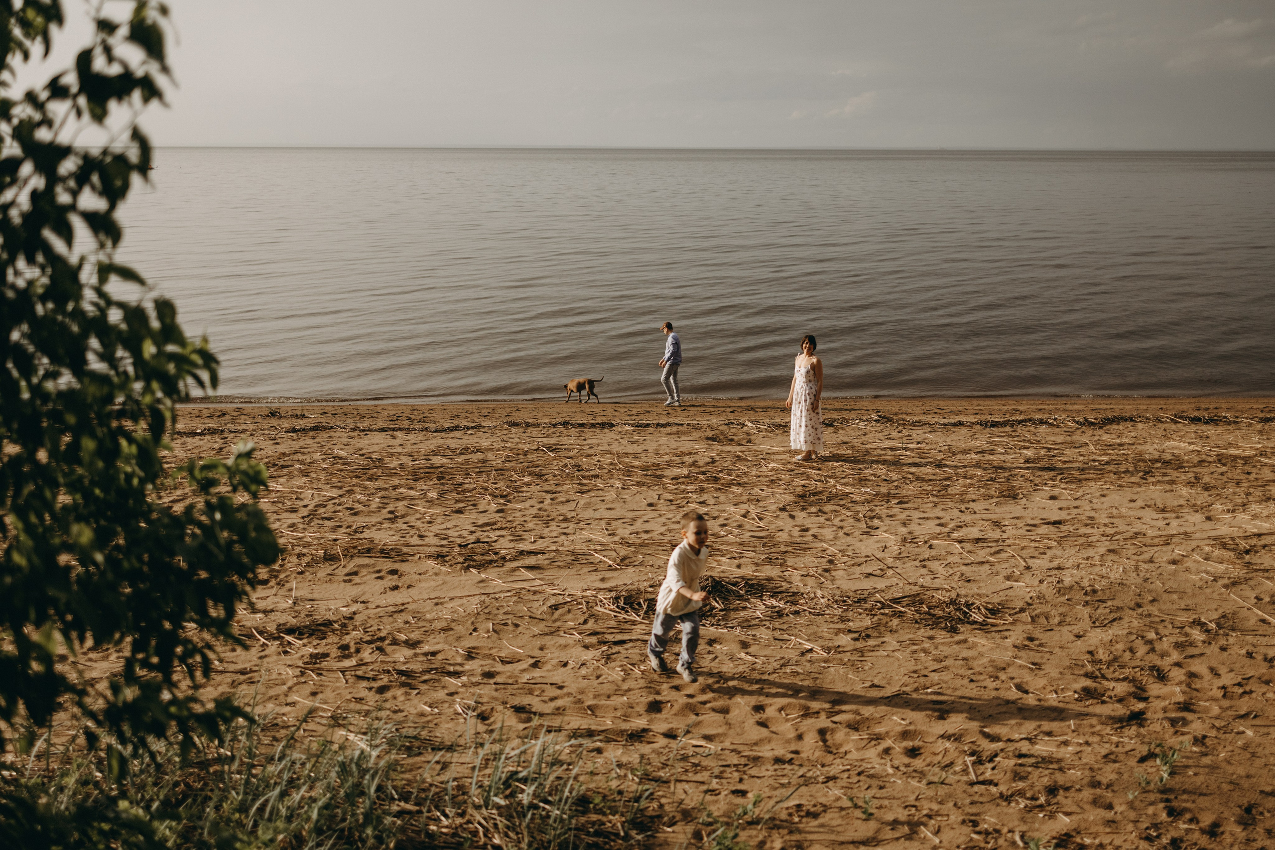 Бонни и ее семья. Фотограф — Анималист | Санкт-Петербург