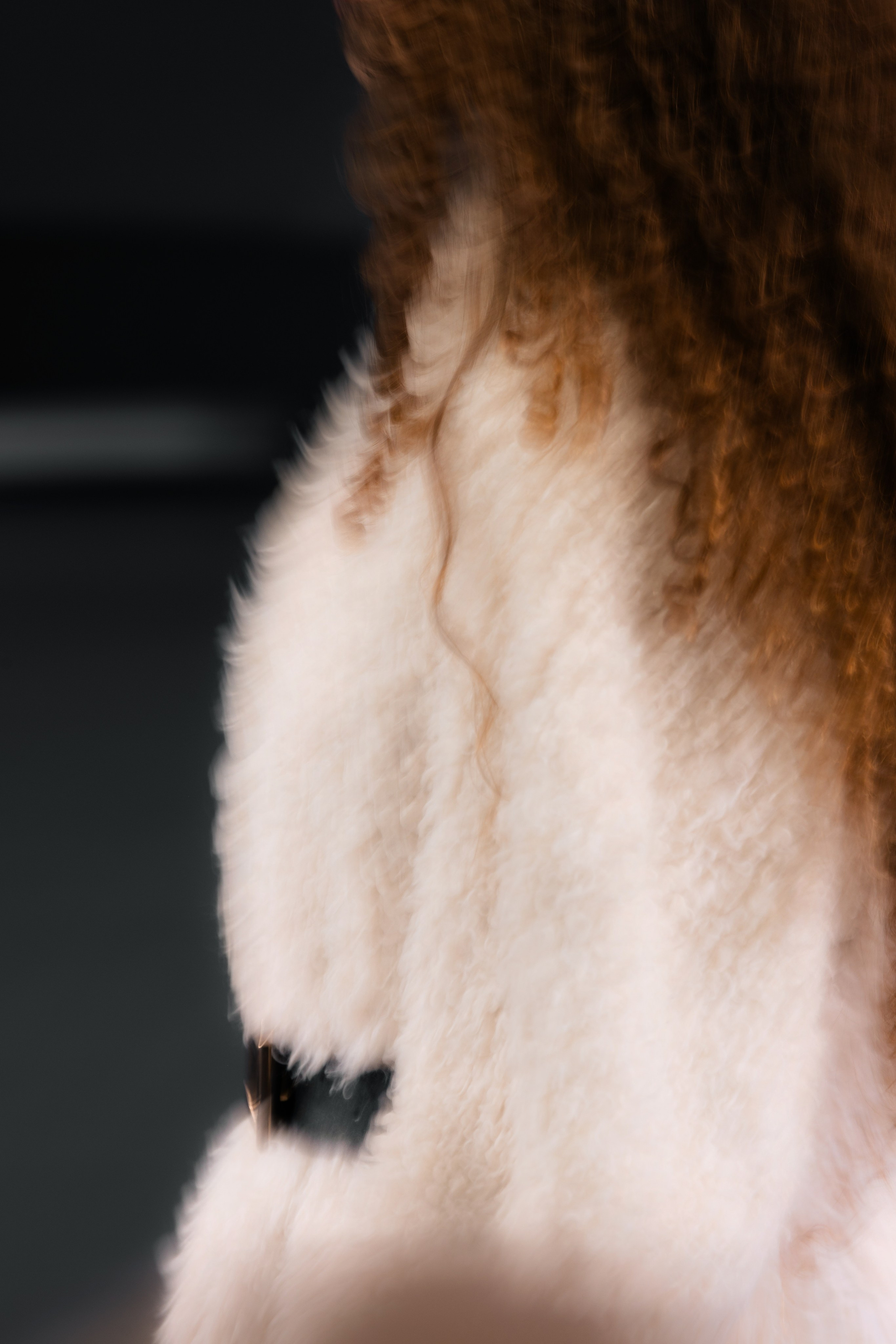 Fashion Fabrique. ILIAS BLACK — Фотограф свадеб и мероприятий в Минске и Беларуси