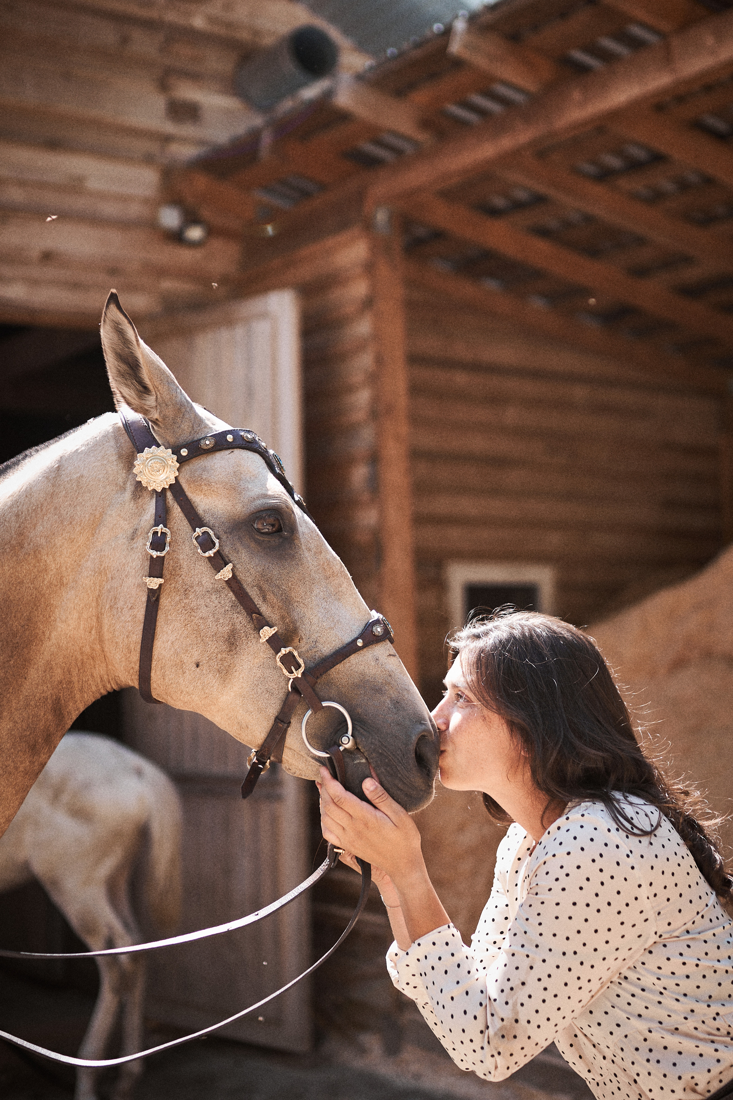 Дарья и ахалтекинцы. Конный клуб Каприоль. Фотосессии с лошадьми в Москве, Новосибирске