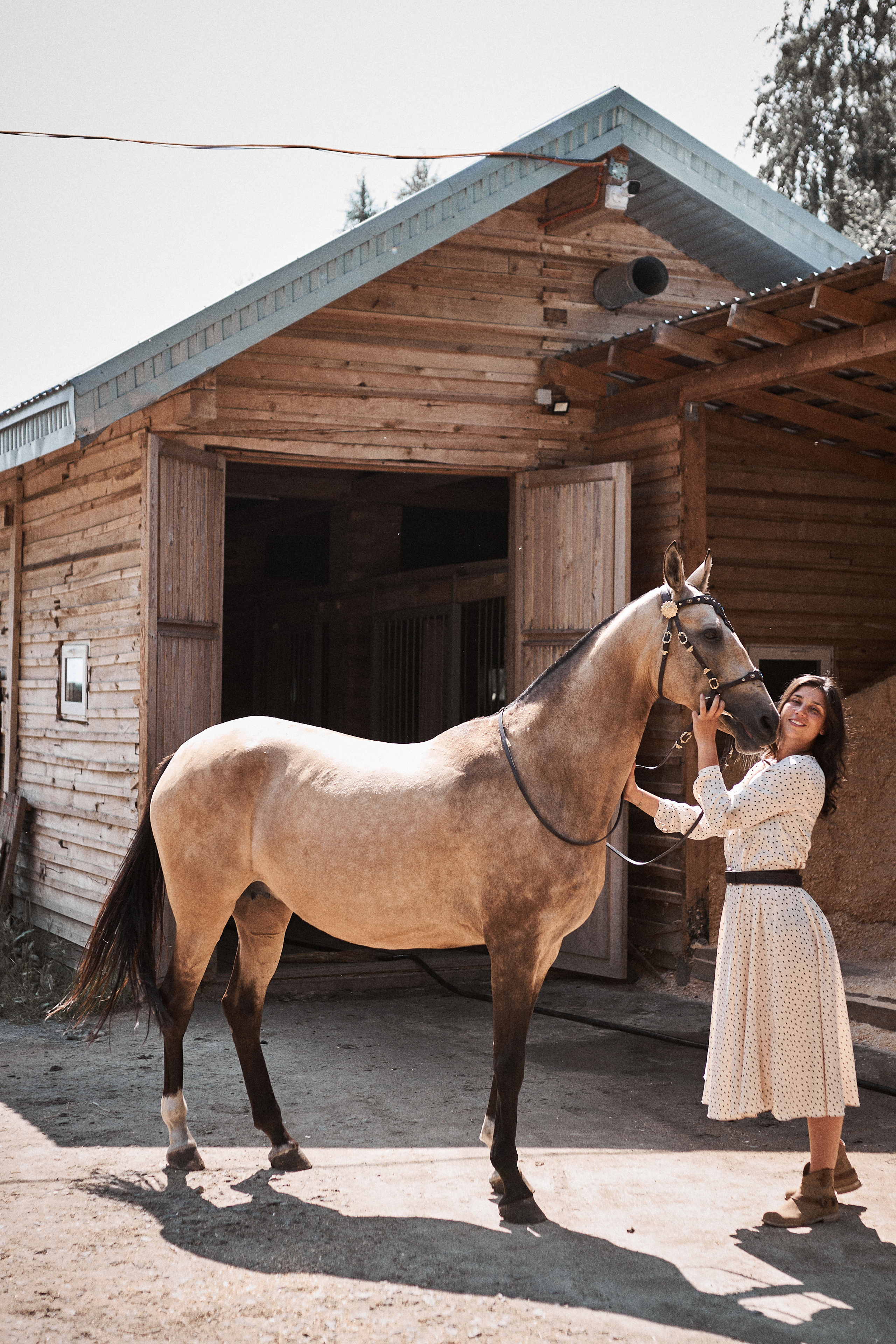 Дарья и ахалтекинцы. Конный клуб Каприоль. Фотосессии с лошадьми в Москве, Новосибирске