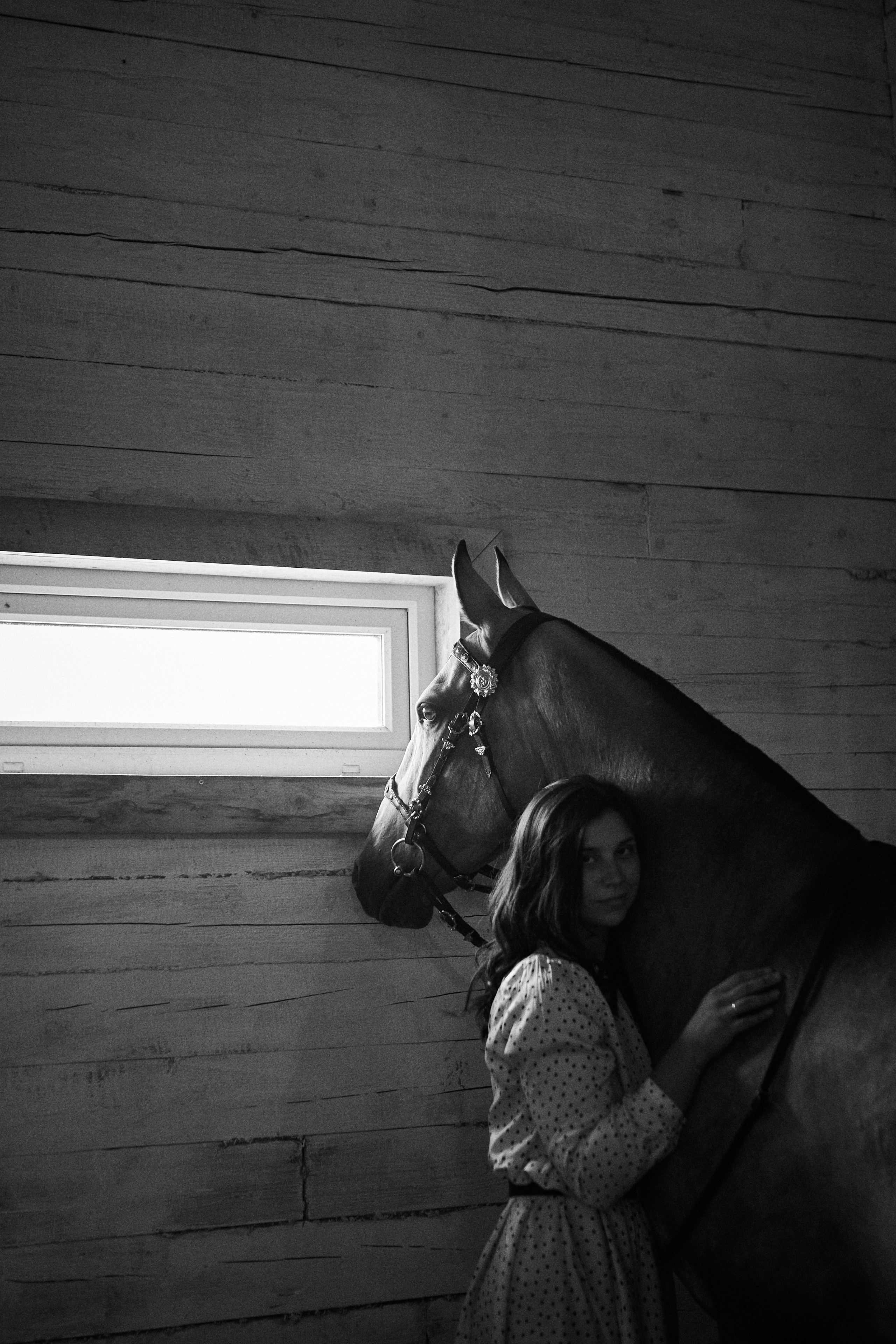 Дарья и ахалтекинцы. Конный клуб Каприоль. Фотосессии с лошадьми в Москве, Новосибирске