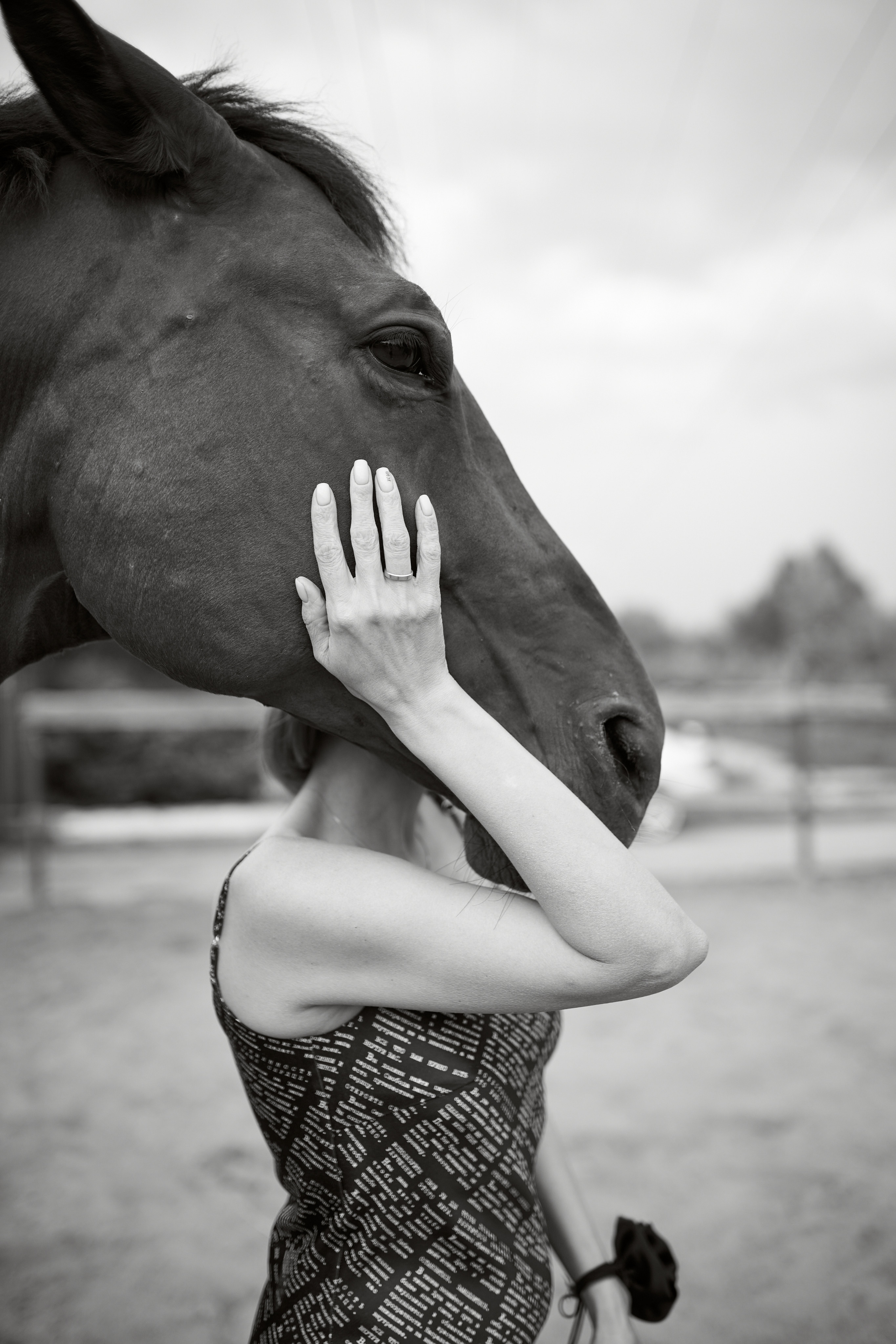 Екатерина и Восторг. Фотосессии с лошадьми в Москве, Новосибирске