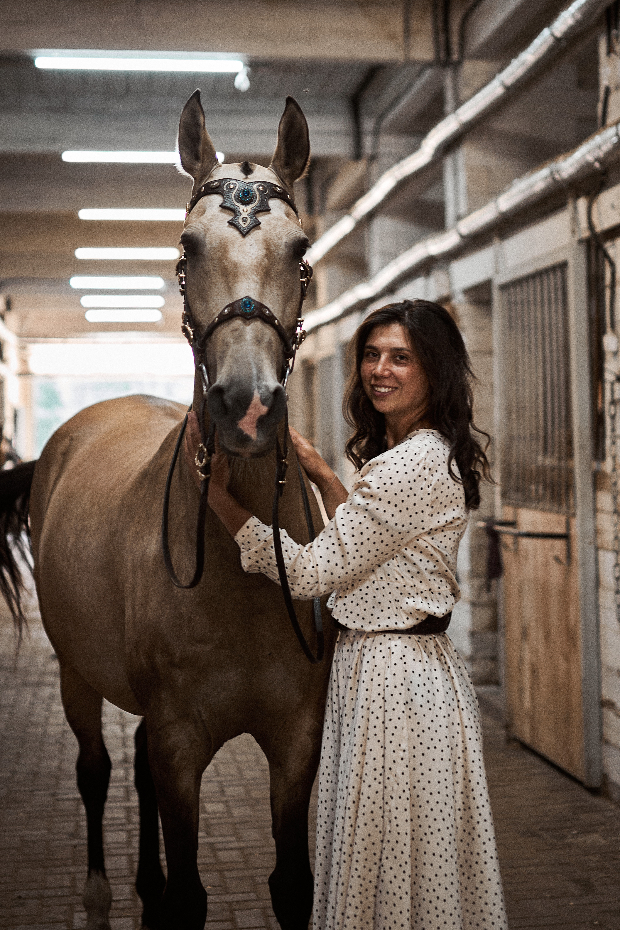 Дарья и ахалтекинцы. Конный клуб Каприоль. Фотосессии с лошадьми в Москве, Новосибирске
