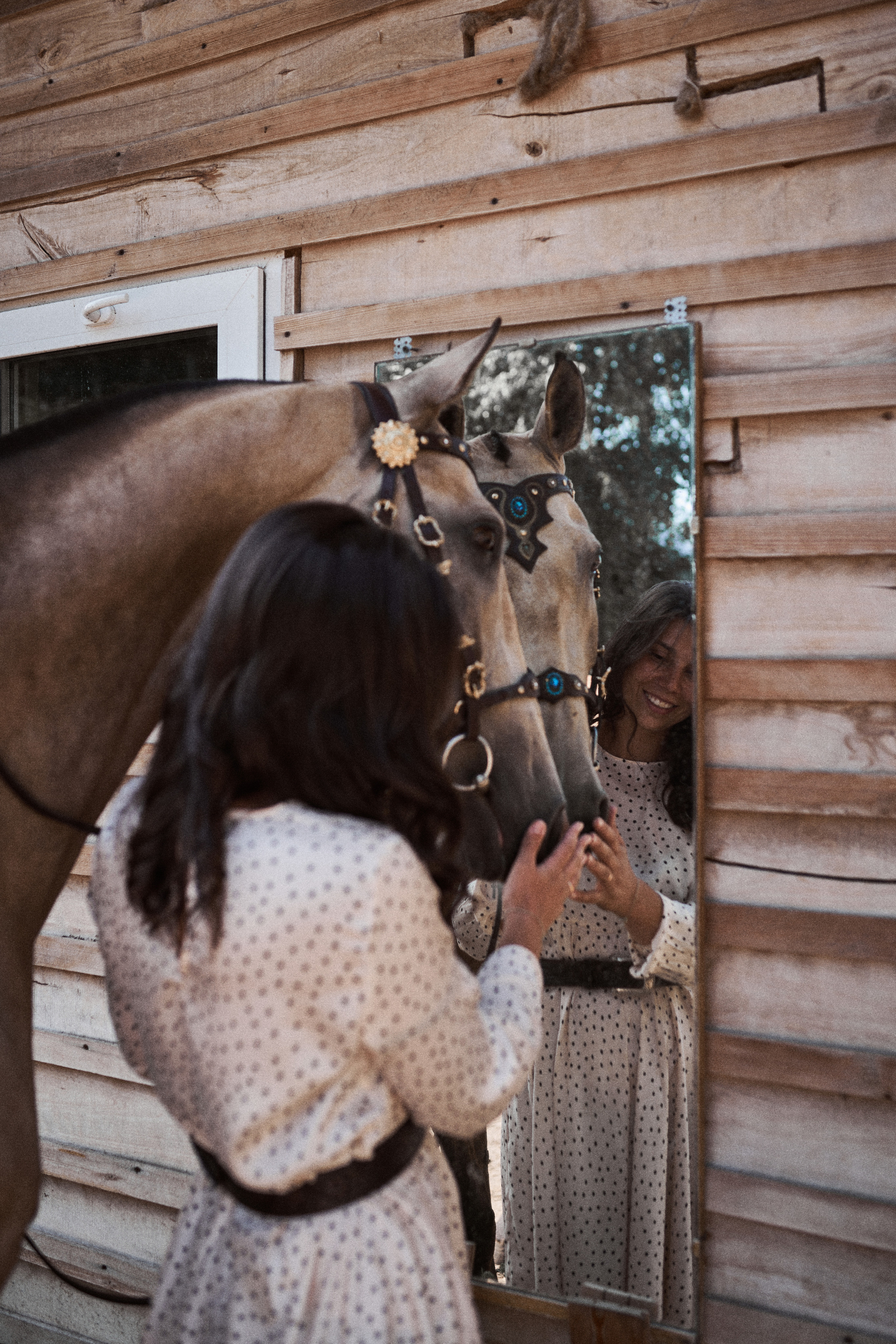 Дарья и ахалтекинцы. Конный клуб Каприоль. Фотосессии с лошадьми в Москве, Новосибирске