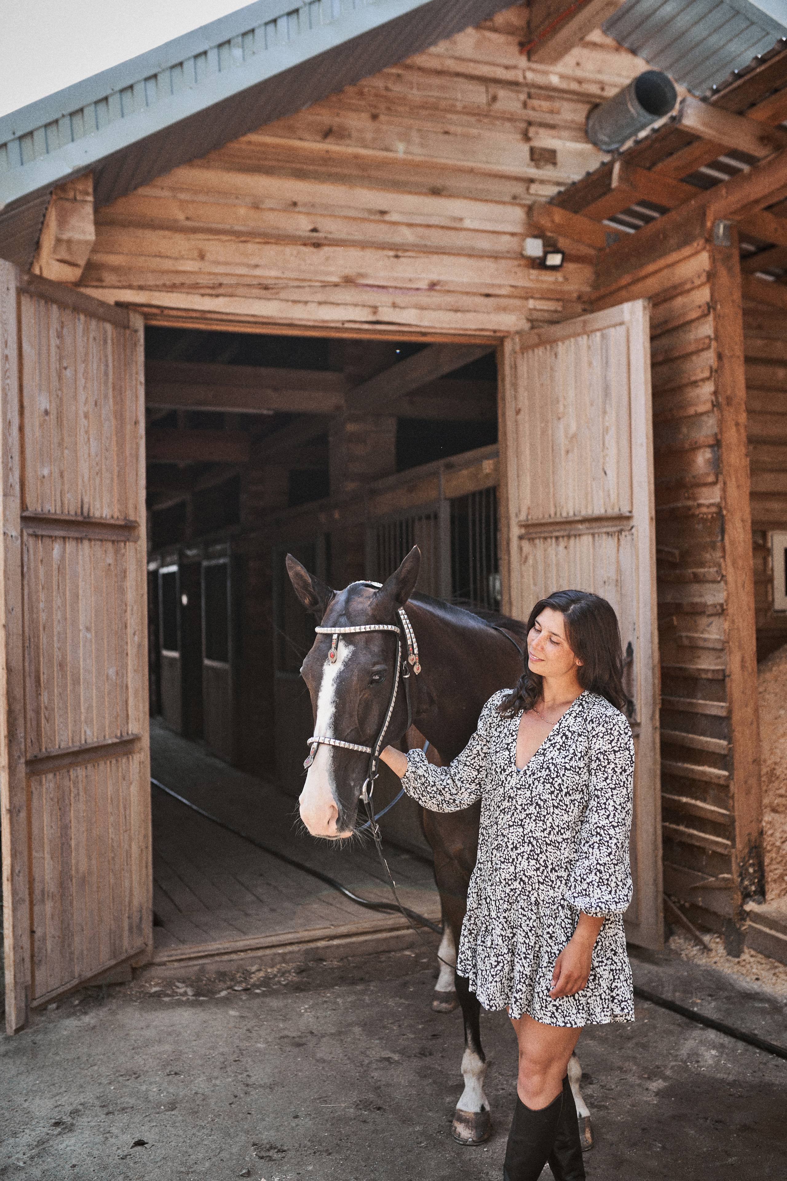 Дарья и ахалтекинцы. Конный клуб Каприоль. Фотосессии с лошадьми в Москве, Новосибирске