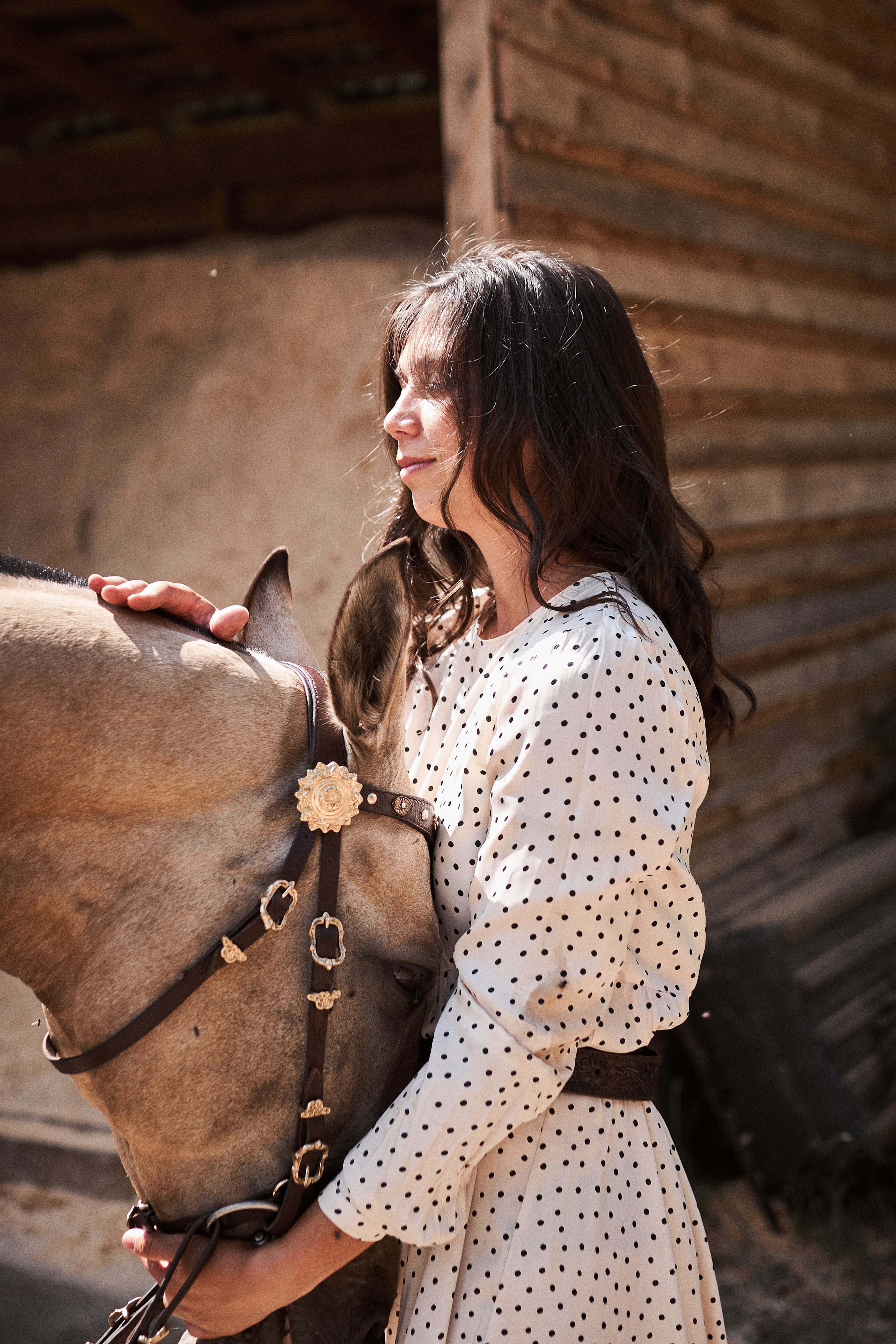 Дарья и ахалтекинцы. Конный клуб Каприоль. Фотосессии с лошадьми в Москве, Новосибирске