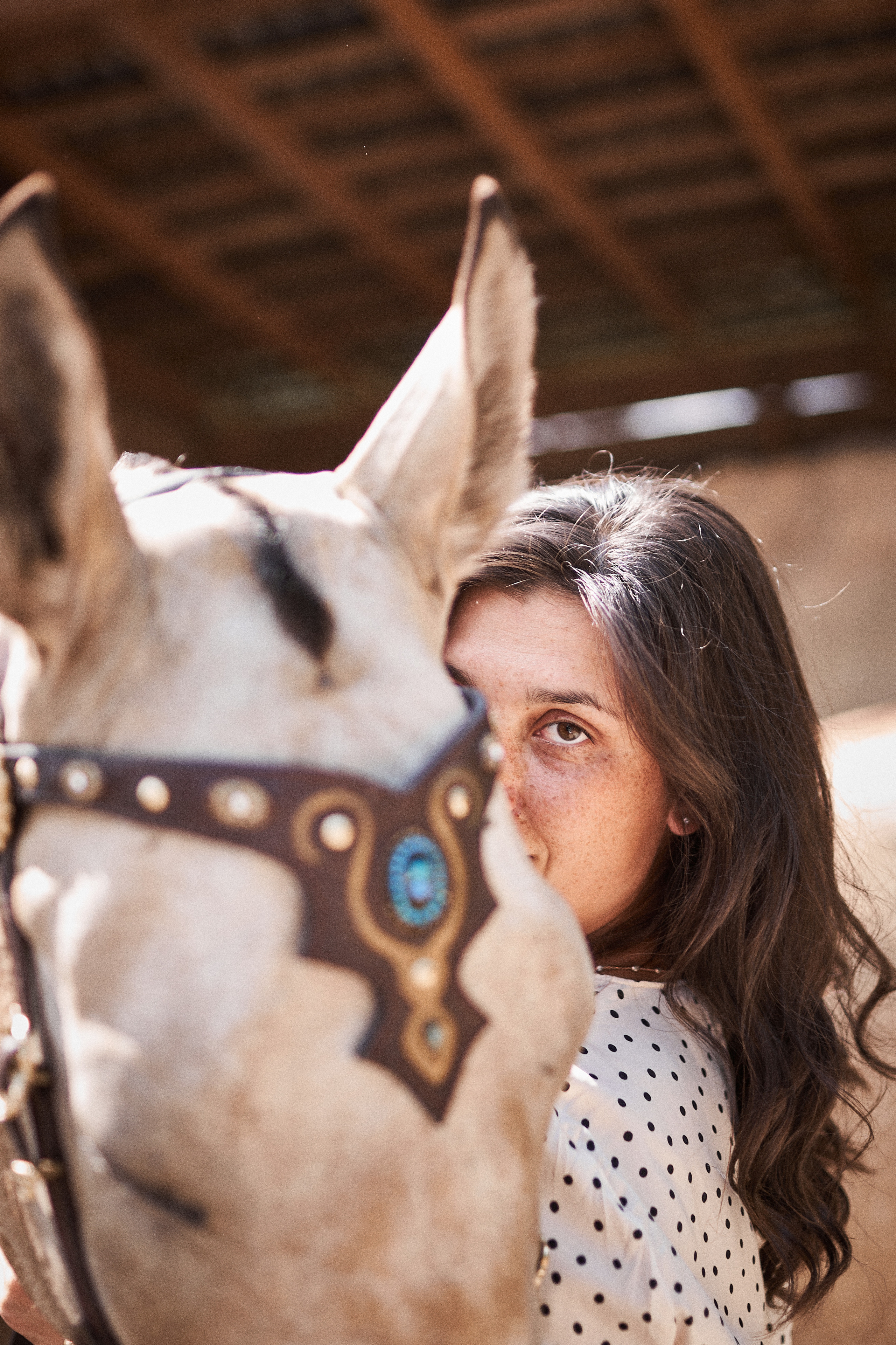 Дарья и ахалтекинцы. Конный клуб Каприоль. Фотосессии с лошадьми в Москве, Новосибирске
