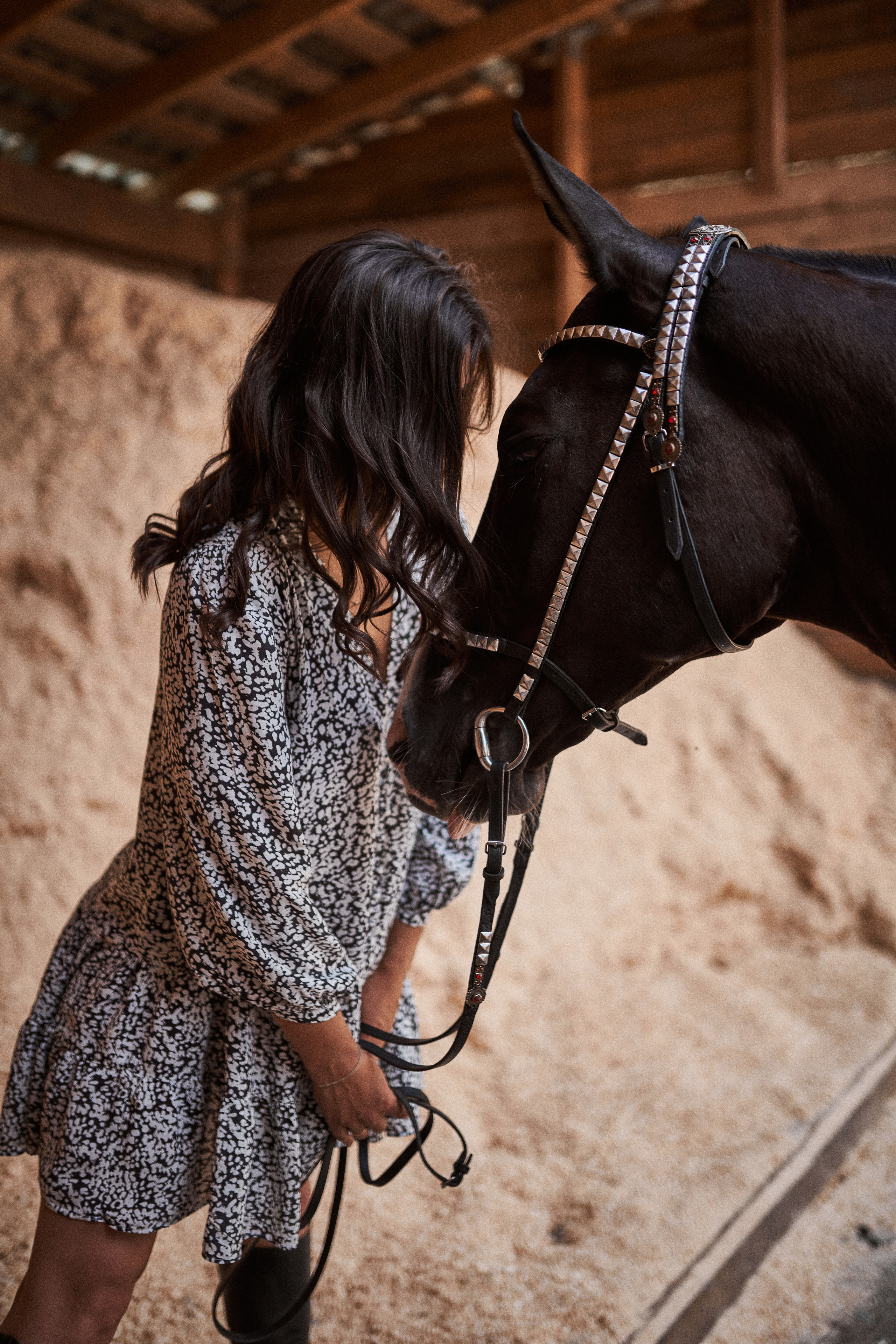Дарья и ахалтекинцы. Конный клуб Каприоль. Фотосессии с лошадьми в Москве, Новосибирске