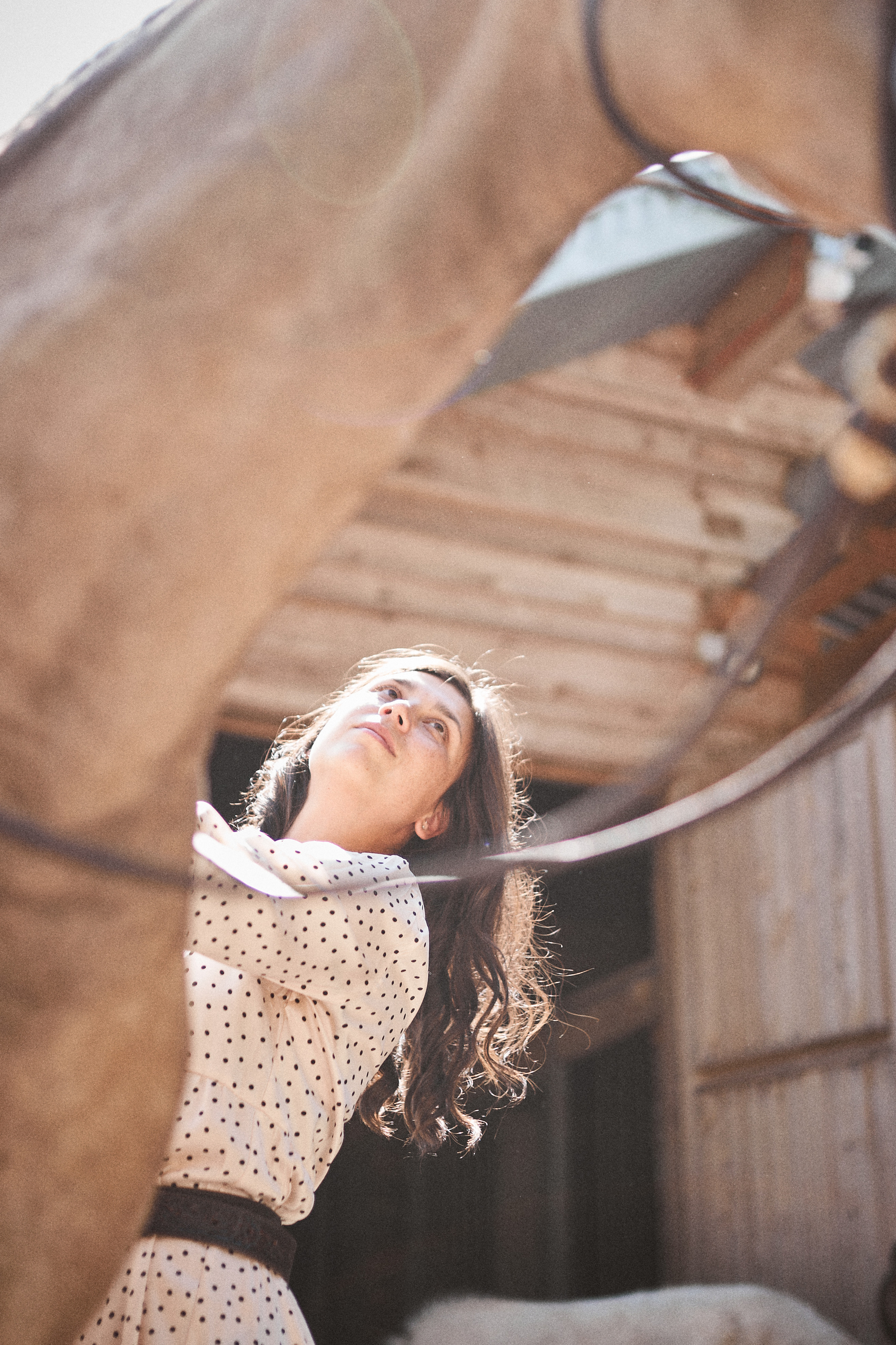 Дарья и ахалтекинцы. Конный клуб Каприоль. Фотосессии с лошадьми в Москве, Новосибирске