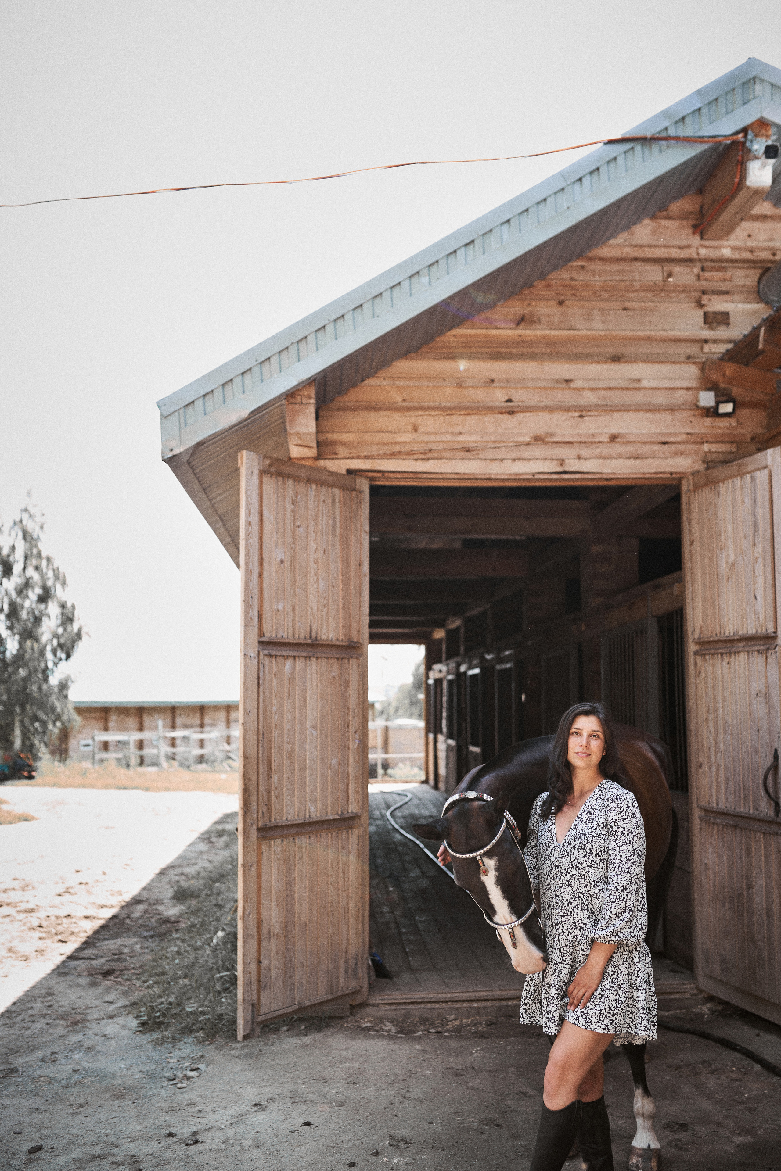 Дарья и ахалтекинцы. Конный клуб Каприоль. Фотосессии с лошадьми в Москве, Новосибирске