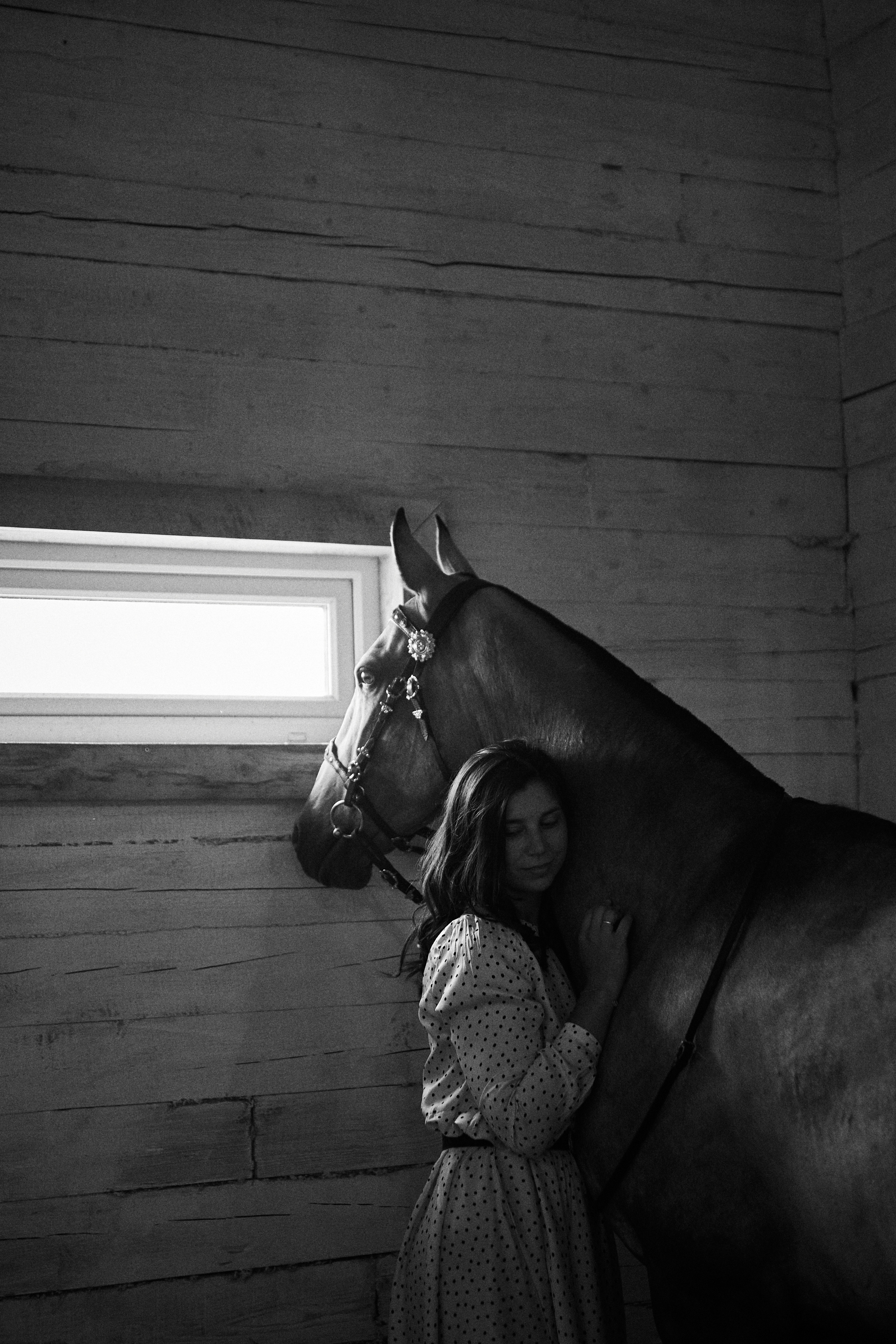 Дарья и ахалтекинцы. Конный клуб Каприоль. Фотосессии с лошадьми в Москве, Новосибирске