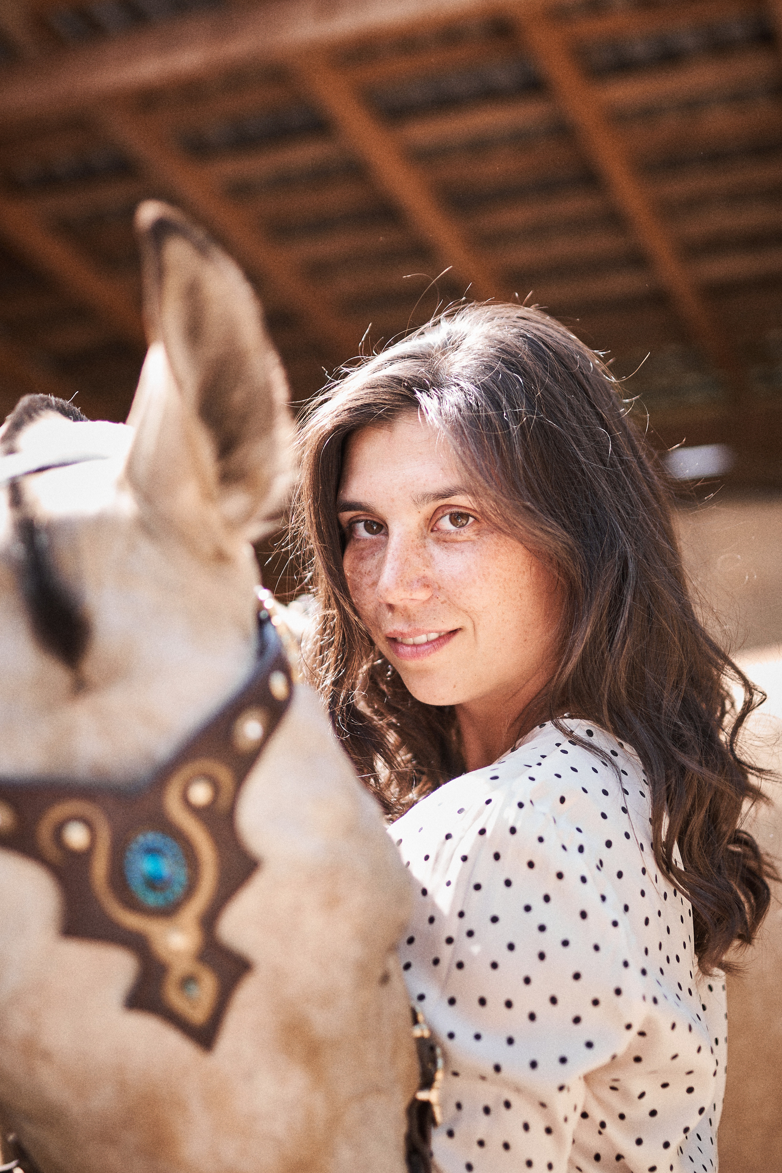 Дарья и ахалтекинцы. Конный клуб Каприоль. Фотосессии с лошадьми в Москве, Новосибирске