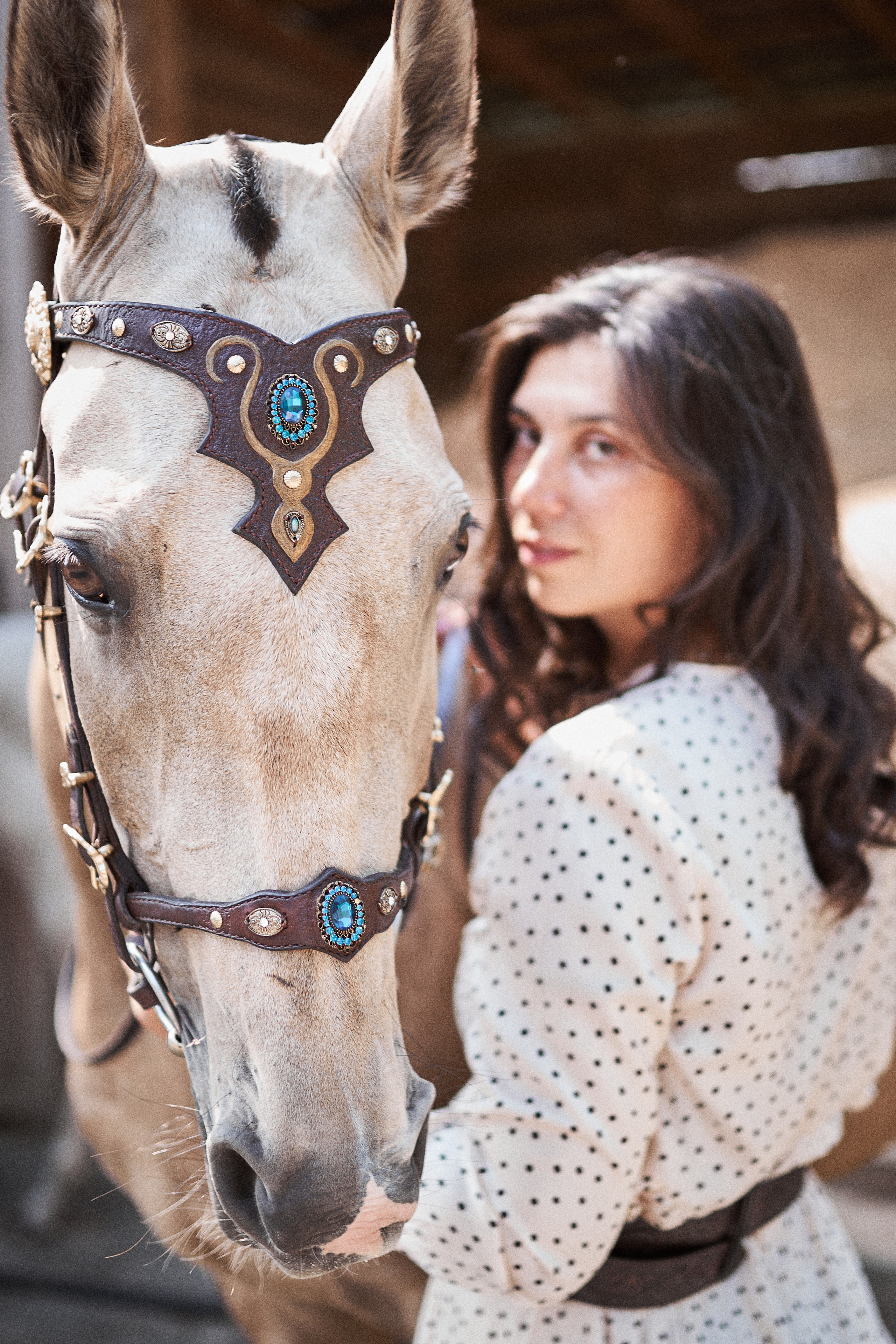 Дарья и ахалтекинцы. Конный клуб Каприоль. Фотосессии с лошадьми в Москве, Новосибирске