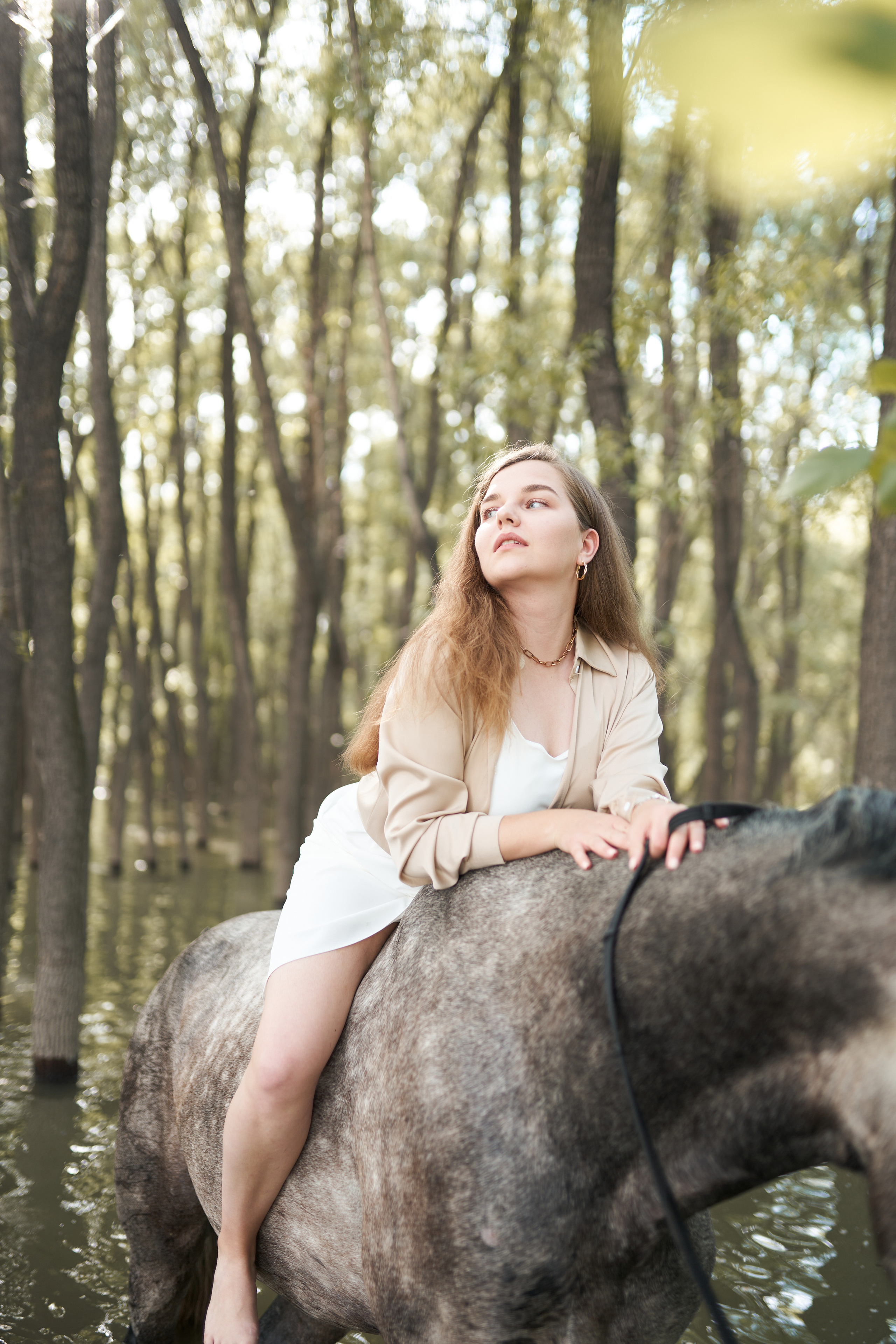 Фотодень в ЧКК «Пассаж». Фотосессии с лошадьми в Москве, Новосибирске
