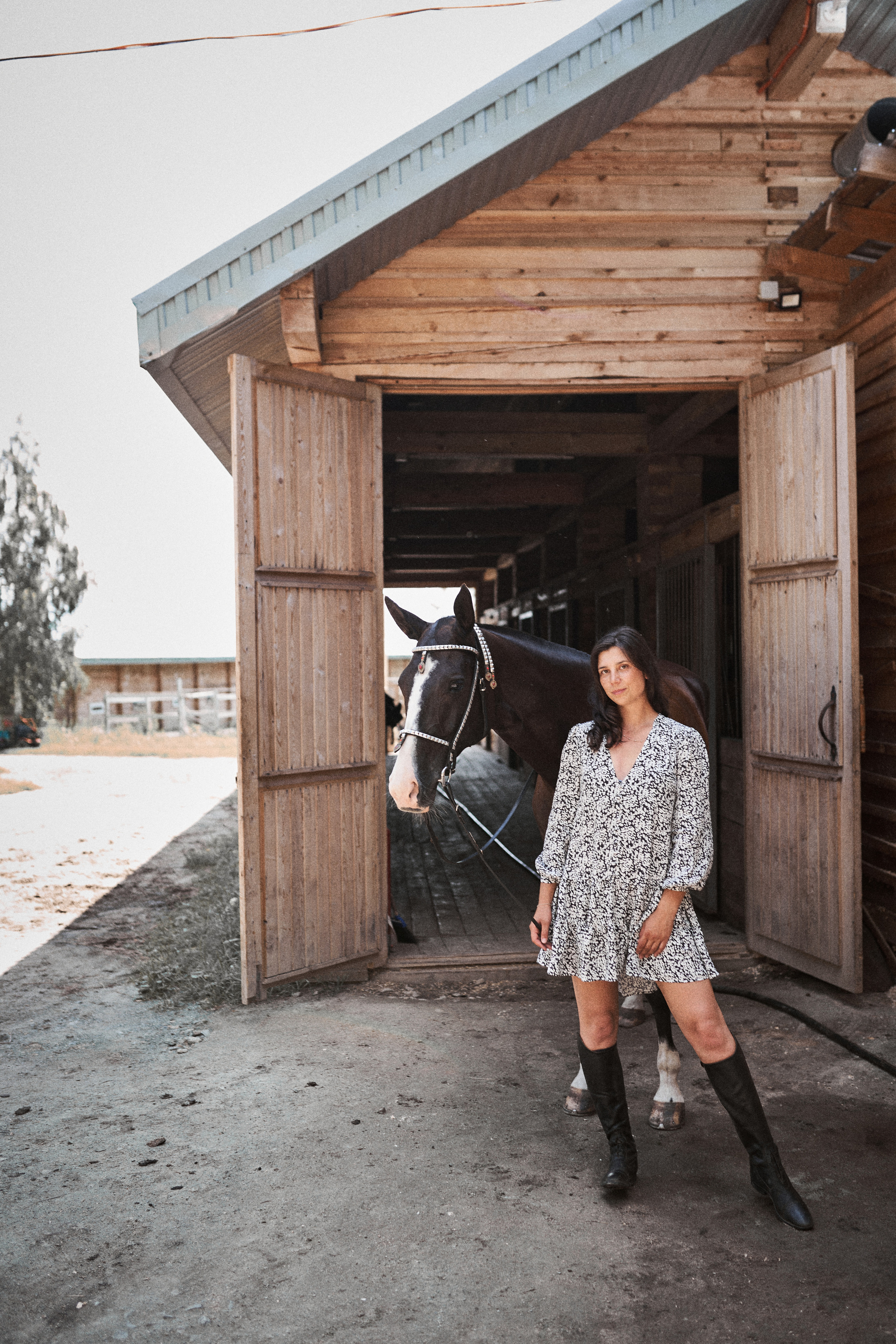 Дарья и ахалтекинцы. Конный клуб Каприоль. Фотосессии с лошадьми в Москве, Новосибирске