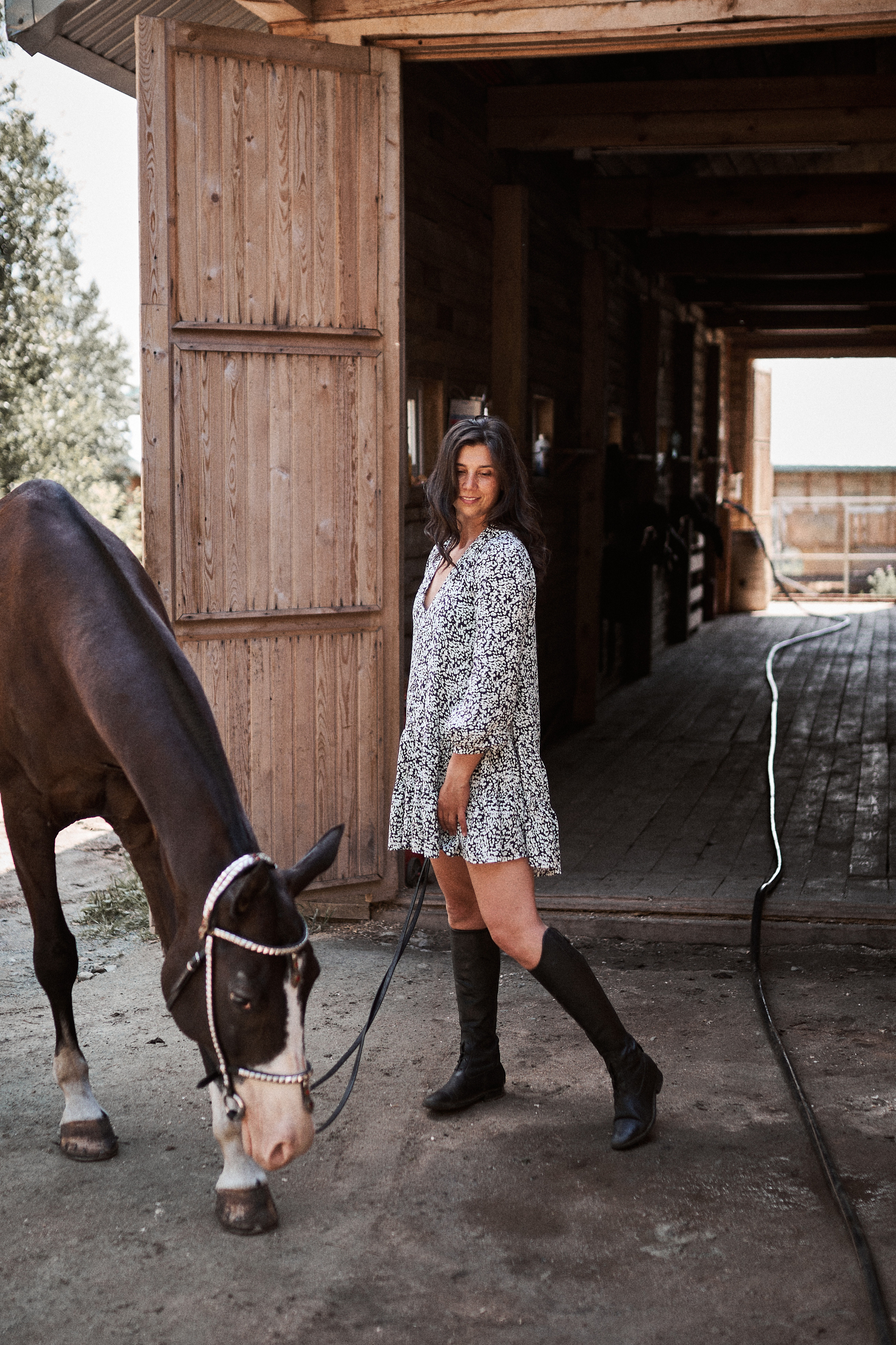 Дарья и ахалтекинцы. Конный клуб Каприоль. Фотосессии с лошадьми в Москве, Новосибирске