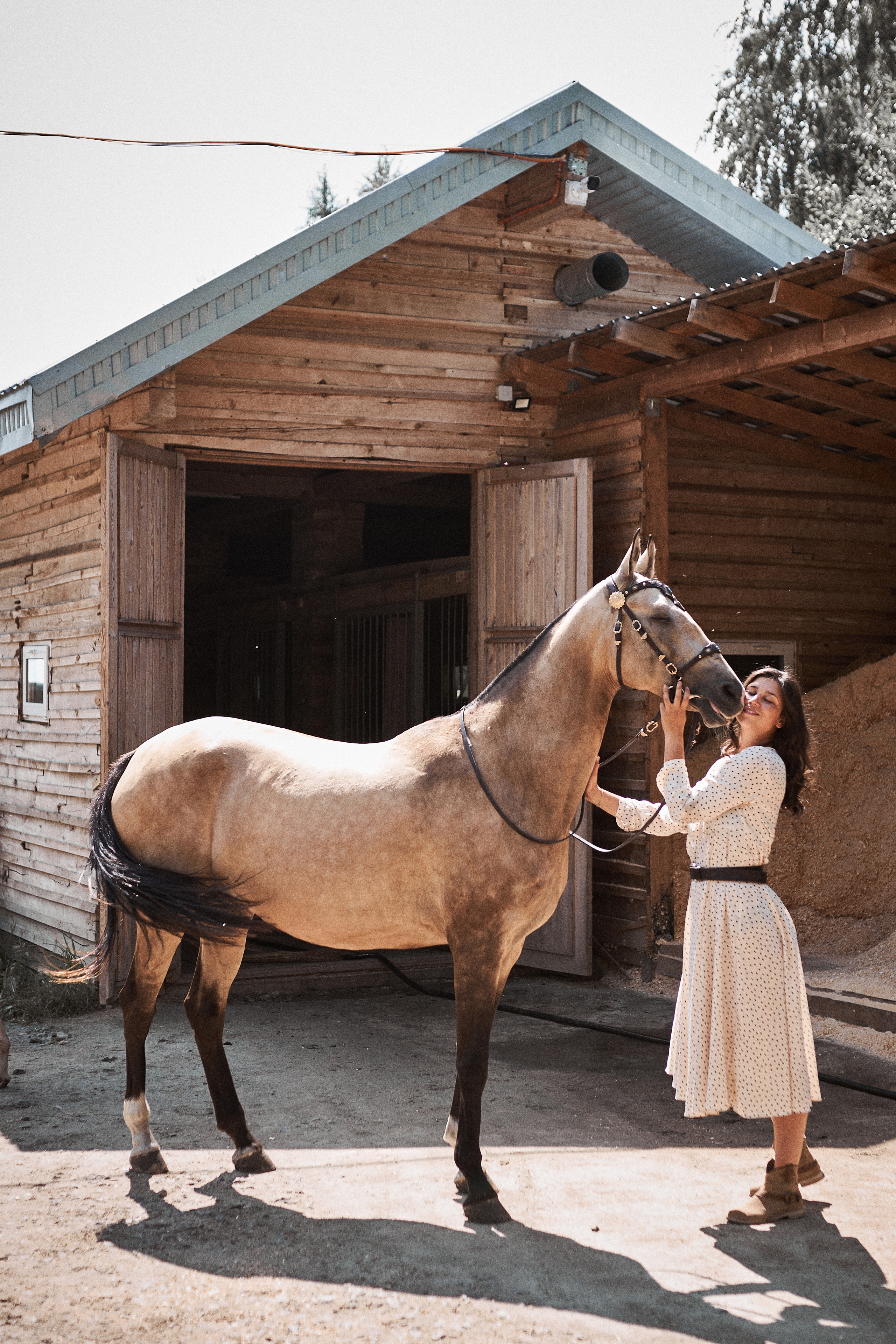 Дарья и ахалтекинцы. Конный клуб Каприоль. Фотосессии с лошадьми в Москве, Новосибирске