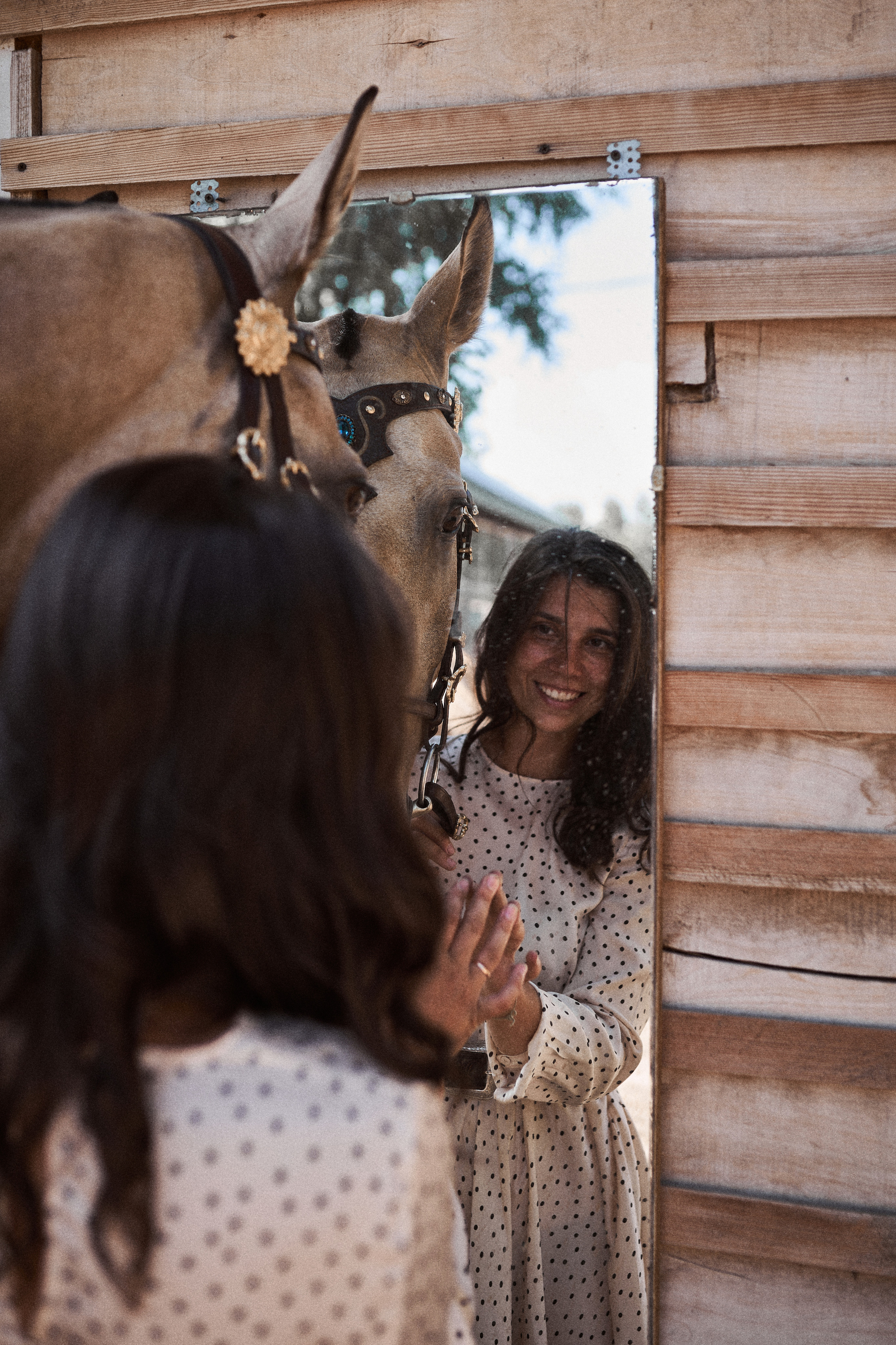 Дарья и ахалтекинцы. Конный клуб Каприоль. Фотосессии с лошадьми в Москве, Новосибирске