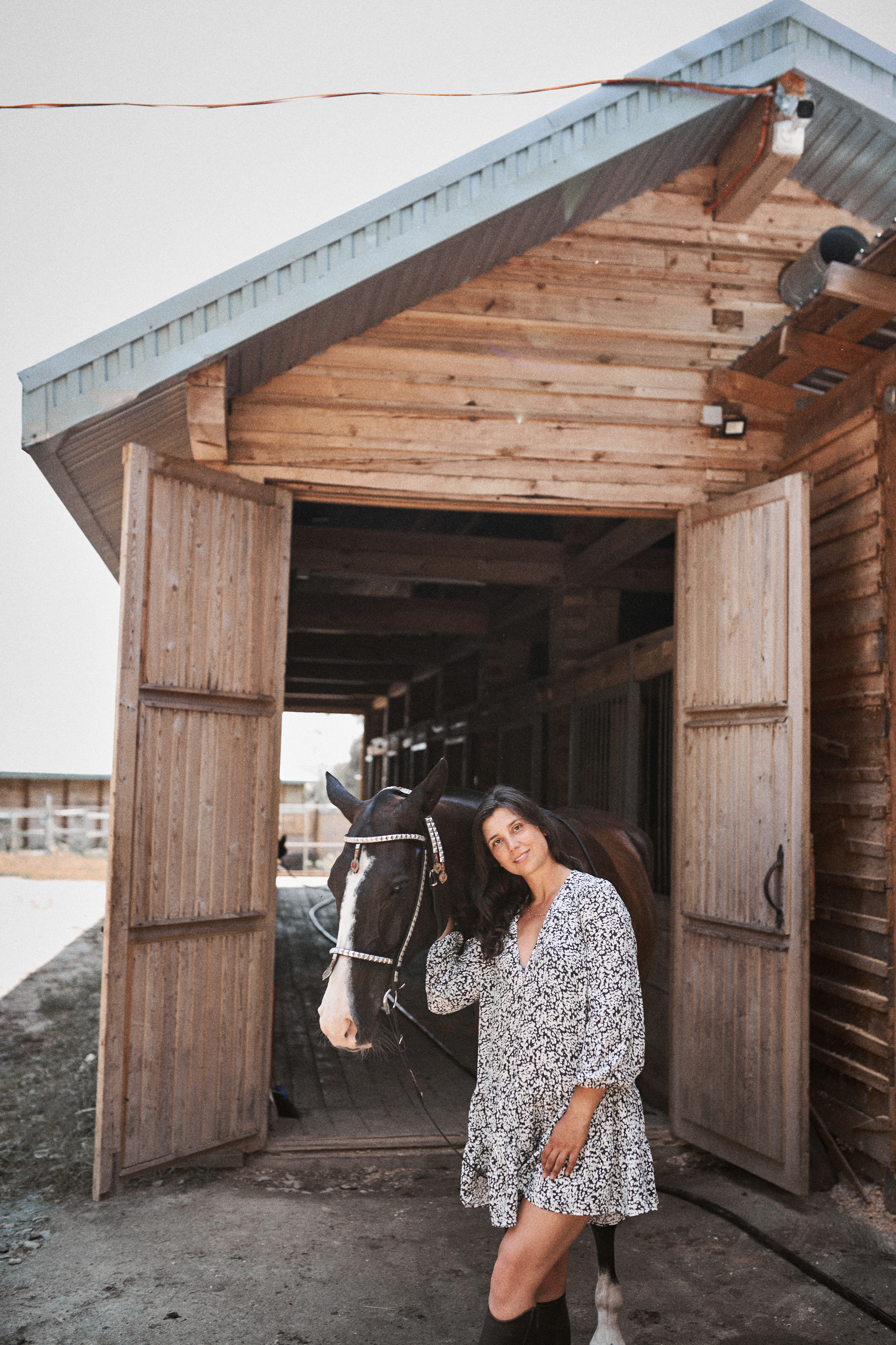 Дарья и ахалтекинцы. Конный клуб Каприоль. Фотосессии с лошадьми в Москве, Новосибирске
