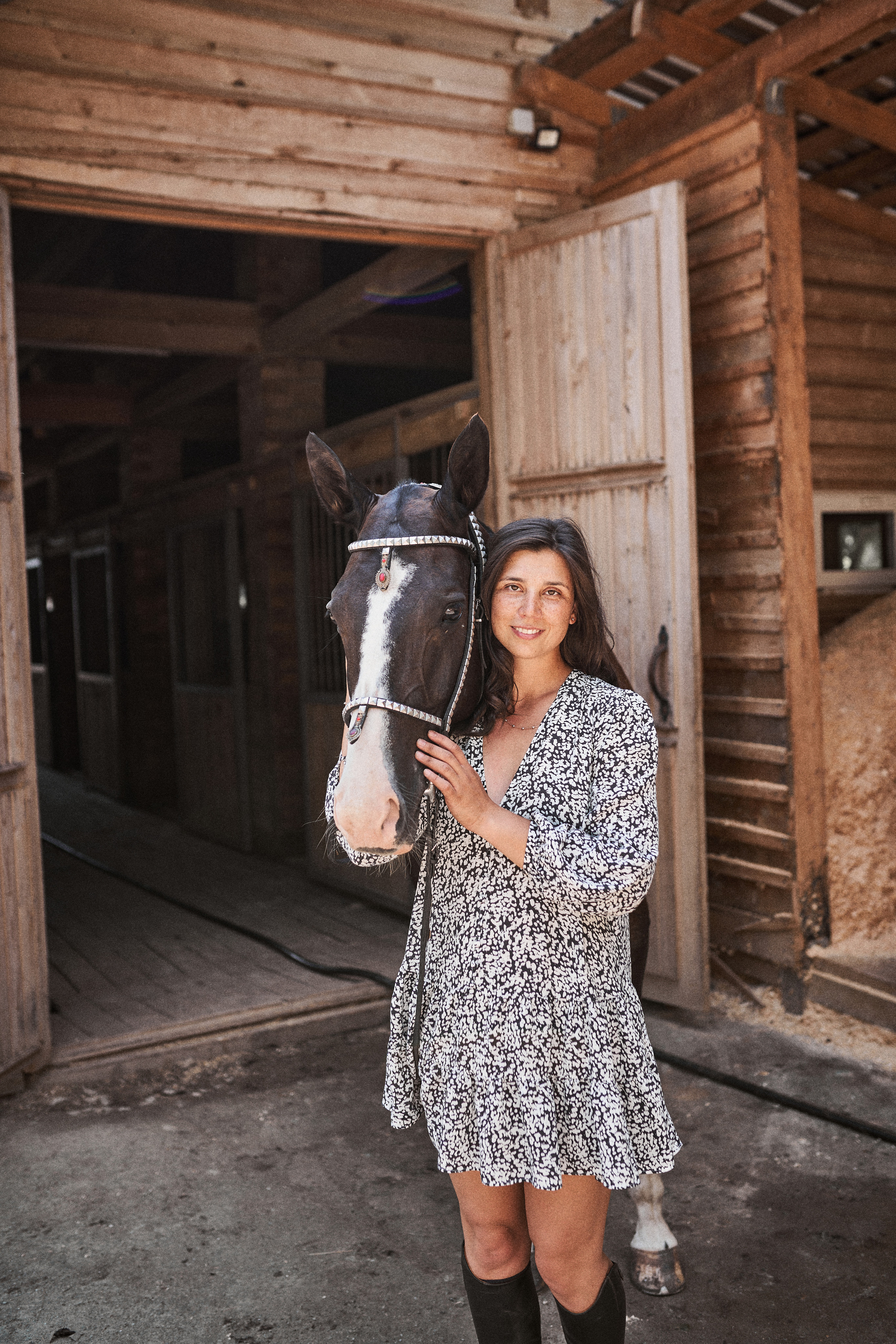 Дарья и ахалтекинцы. Конный клуб Каприоль. Фотосессии с лошадьми в Москве, Новосибирске