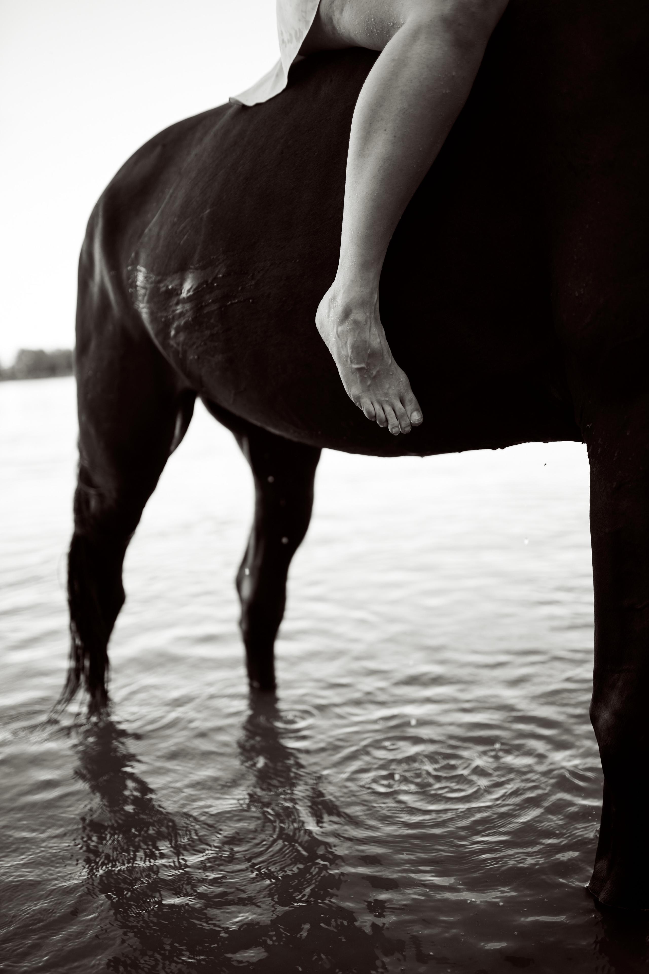 Олеся и Восторг. Фотосессии с лошадьми в Москве, Новосибирске