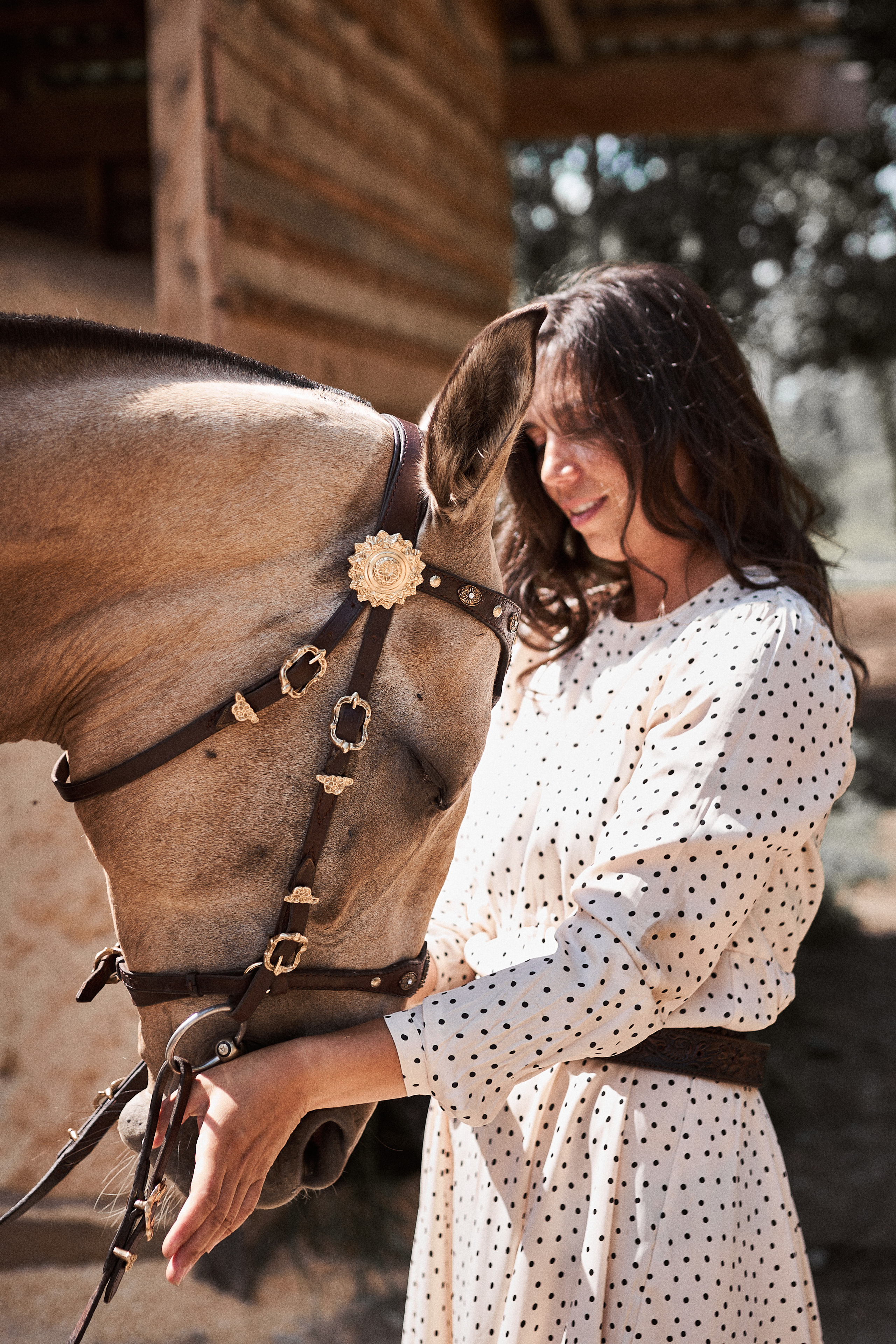 Дарья и ахалтекинцы. Конный клуб Каприоль. Фотосессии с лошадьми в Москве, Новосибирске