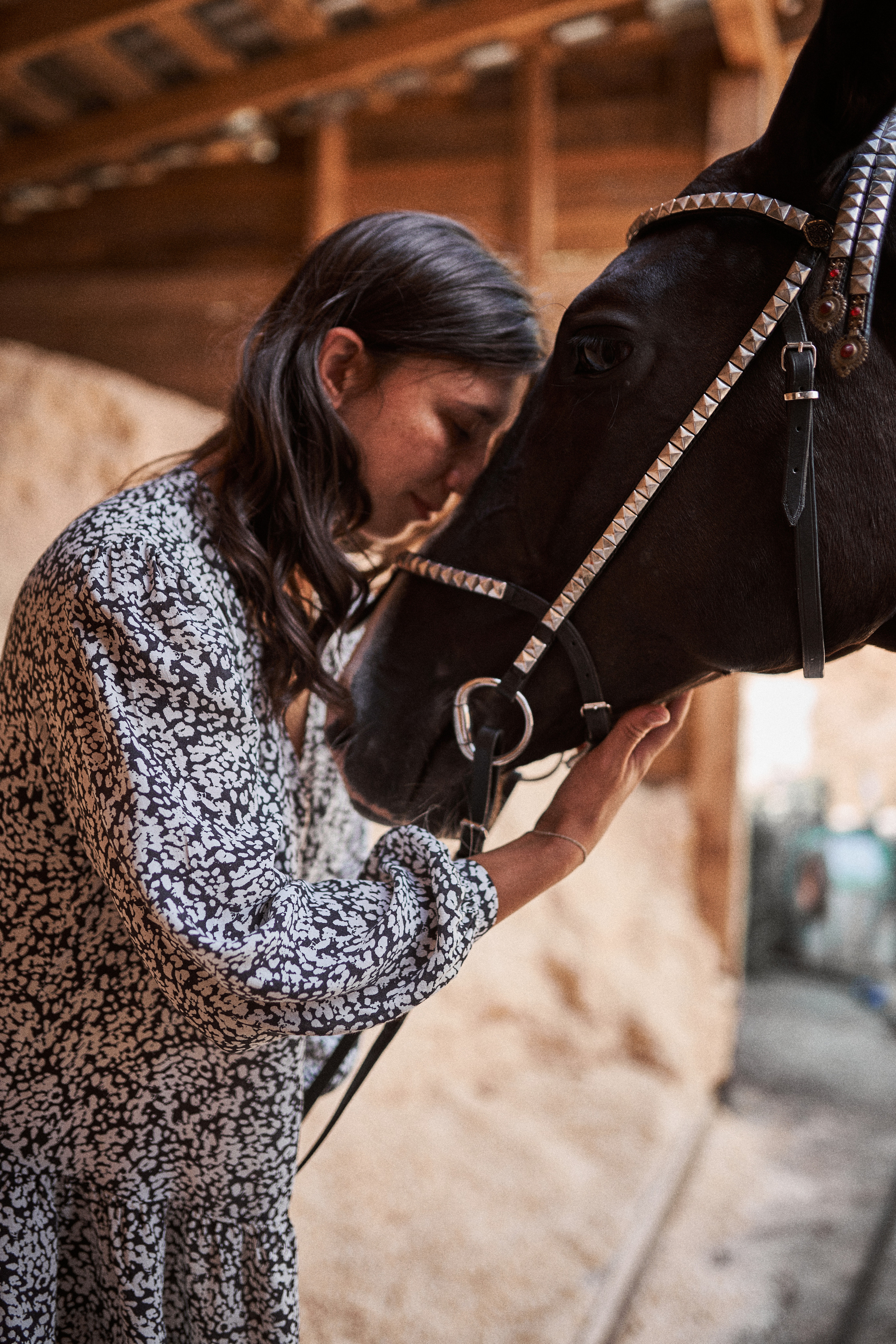 Дарья и ахалтекинцы. Конный клуб Каприоль. Фотосессии с лошадьми в Москве, Новосибирске