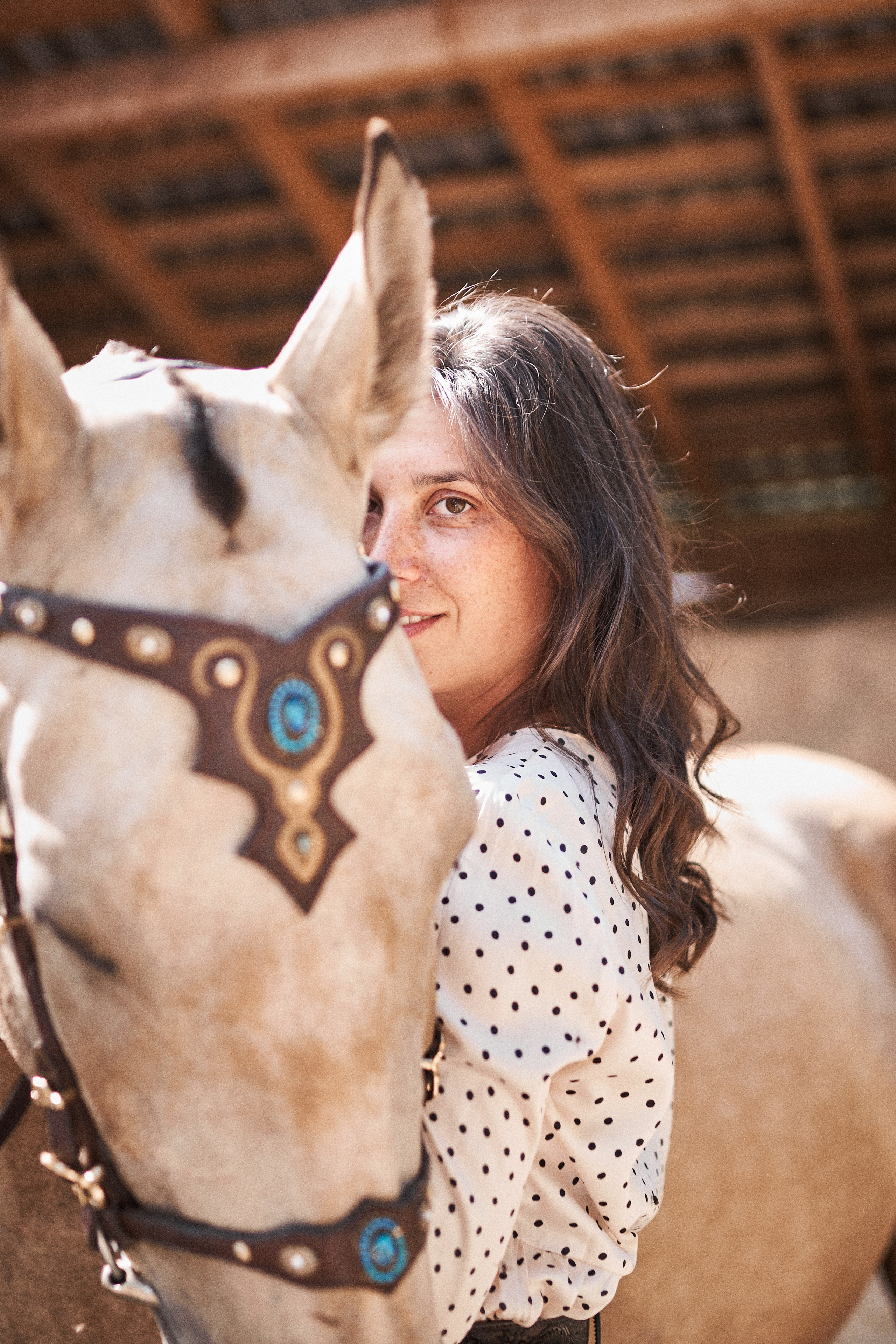 Дарья и ахалтекинцы. Конный клуб Каприоль. Фотосессии с лошадьми в Москве, Новосибирске