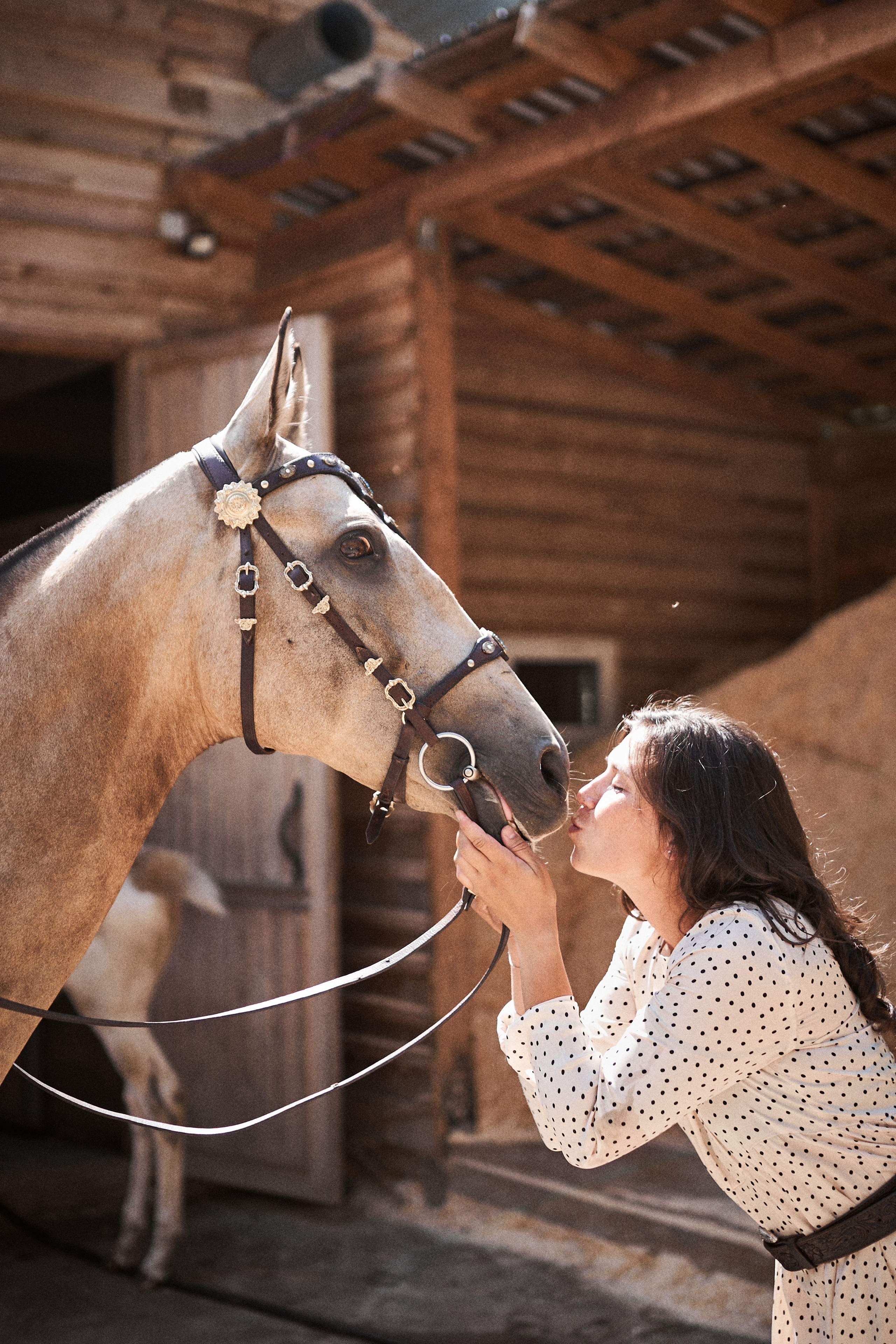 Дарья и ахалтекинцы. Конный клуб Каприоль. Фотосессии с лошадьми в Москве, Новосибирске