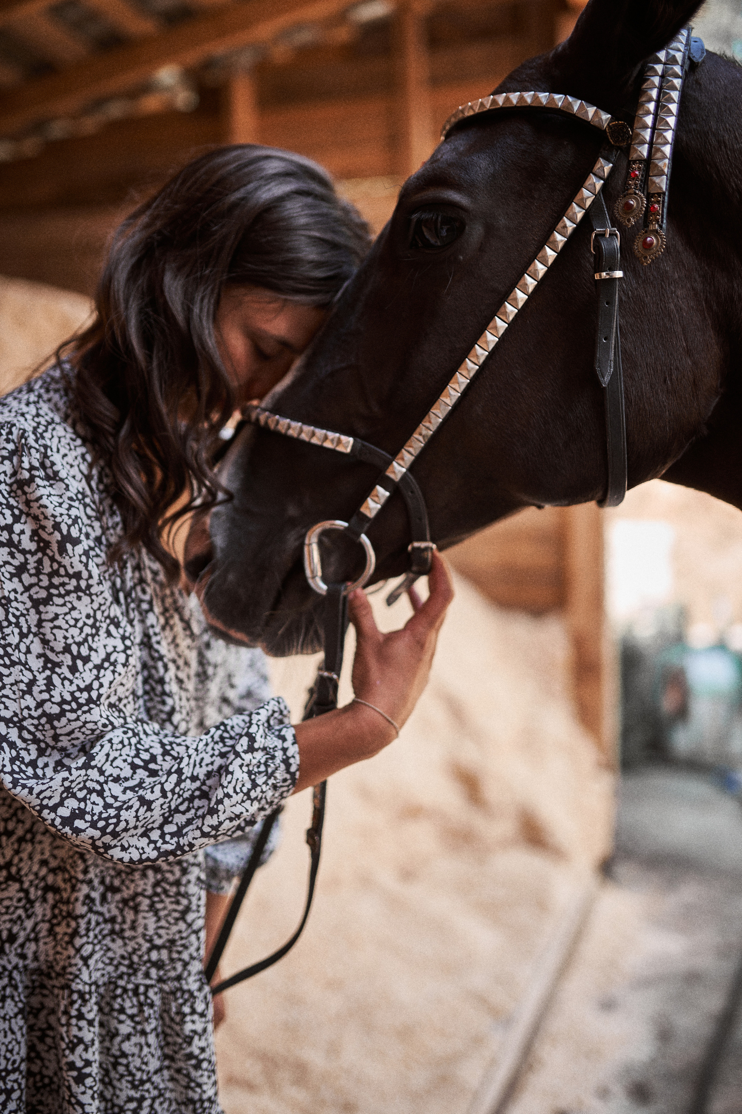 Дарья и ахалтекинцы. Конный клуб Каприоль. Фотосессии с лошадьми в Москве, Новосибирске
