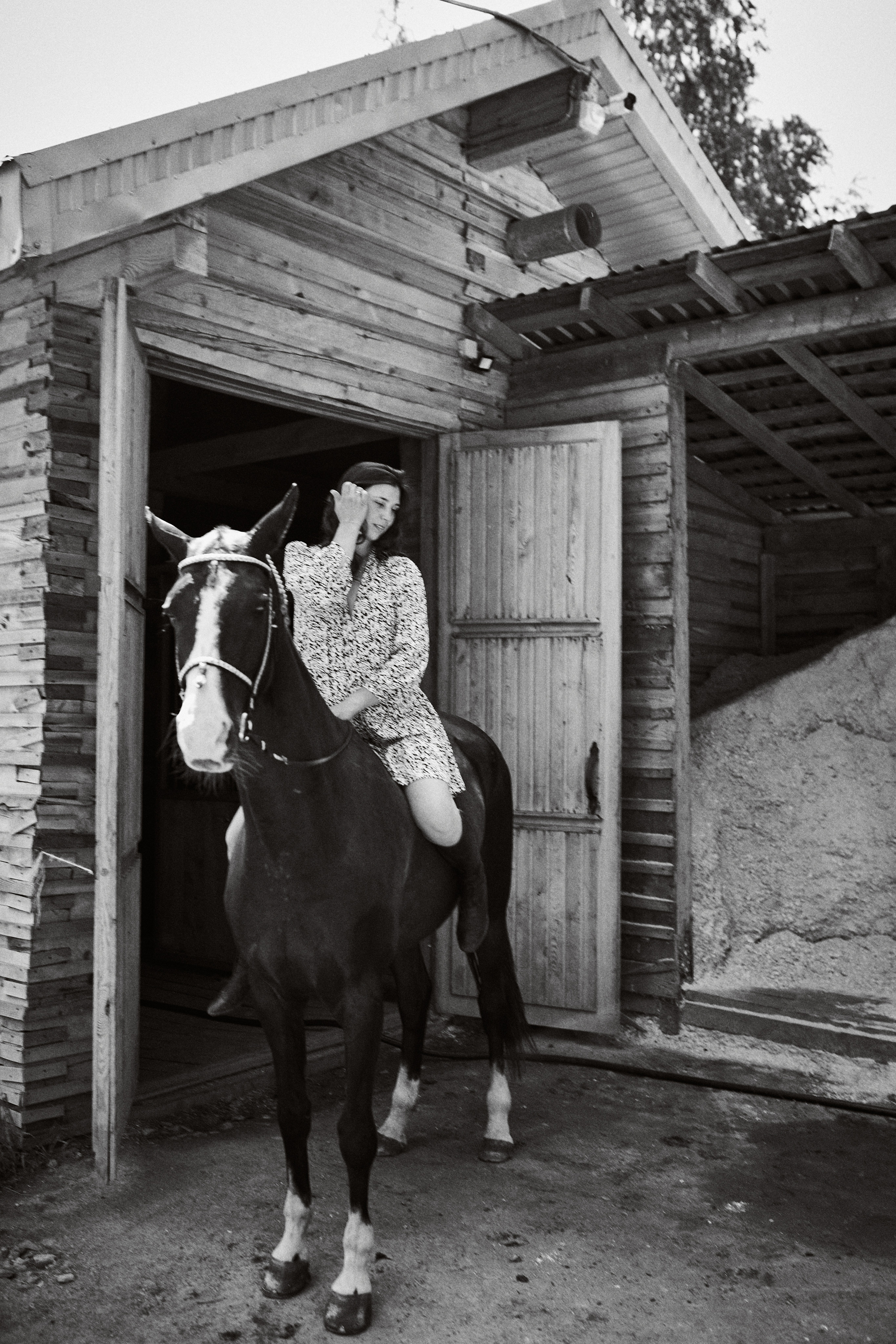 Дарья и ахалтекинцы. Конный клуб Каприоль. Фотосессии с лошадьми в Москве, Новосибирске