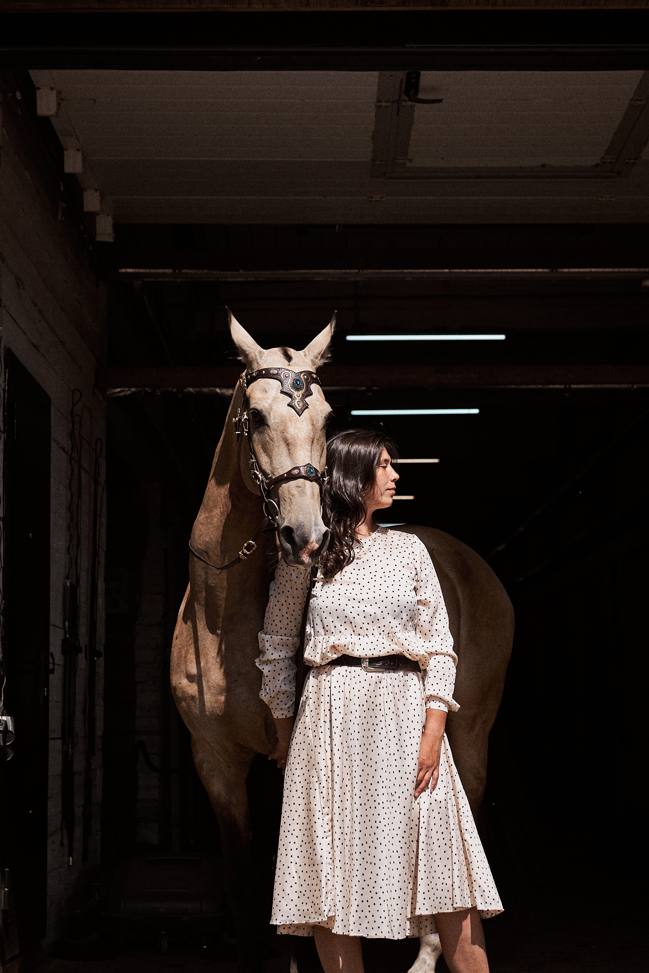 Дарья и ахалтекинцы. Конный клуб Каприоль. Фотосессии с лошадьми в Москве, Новосибирске