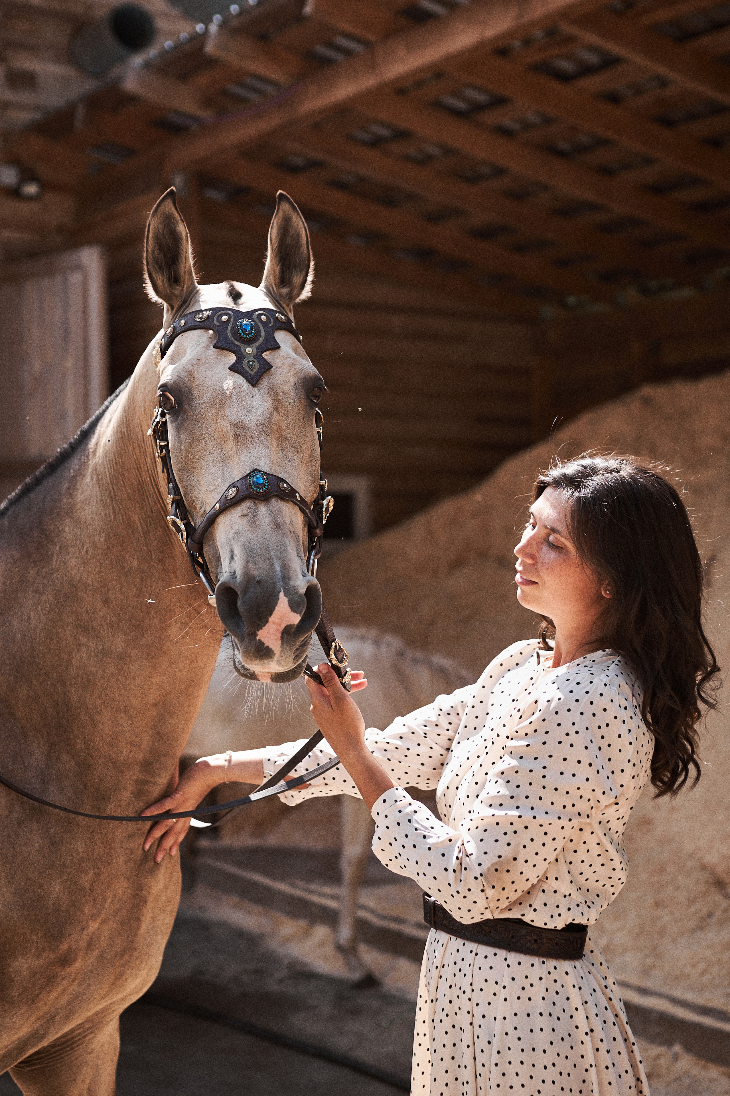 Дарья и ахалтекинцы. Конный клуб Каприоль. Фотосессии с лошадьми в Москве, Новосибирске