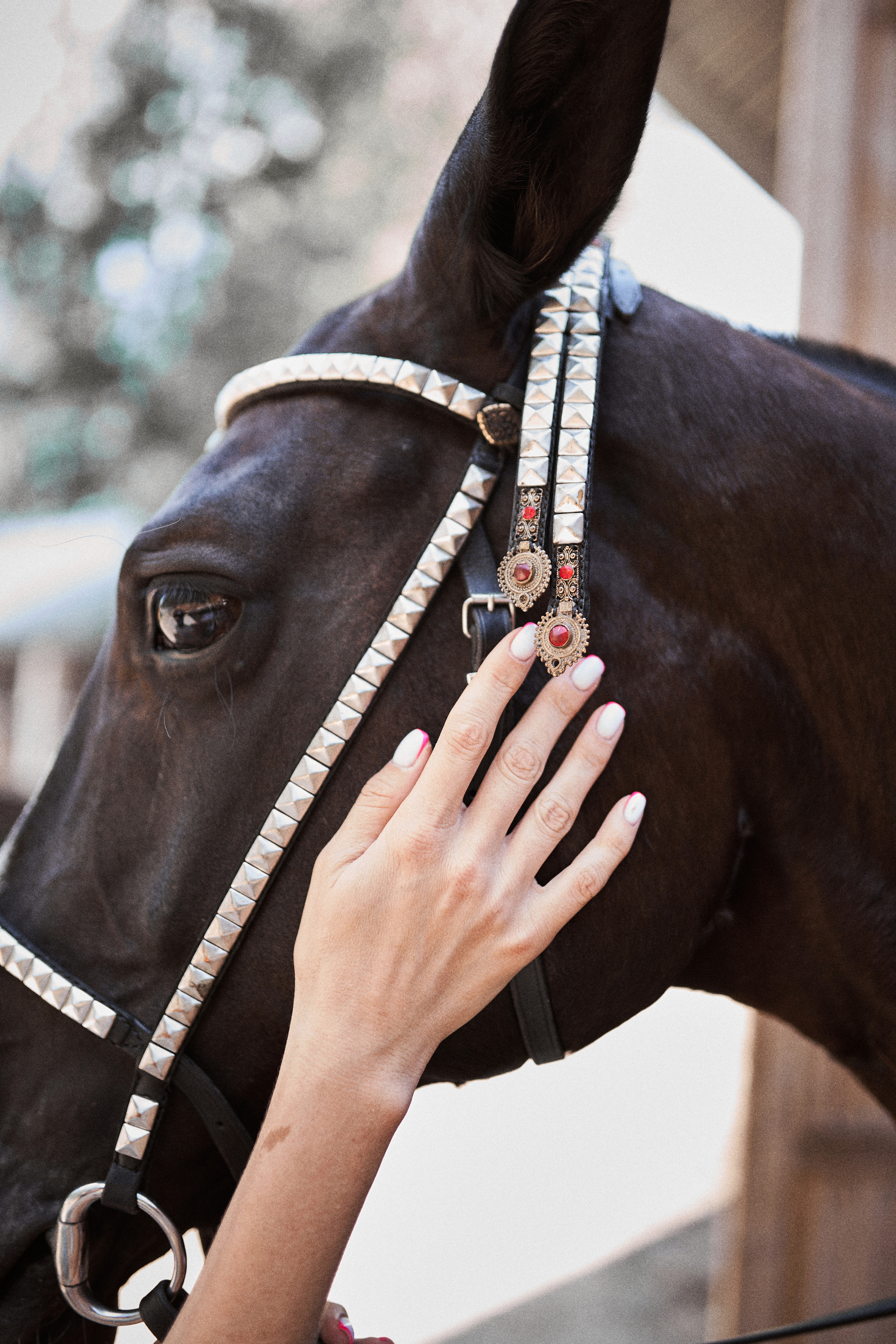 Дарья и ахалтекинцы. Конный клуб Каприоль. Фотосессии с лошадьми в Москве, Новосибирске