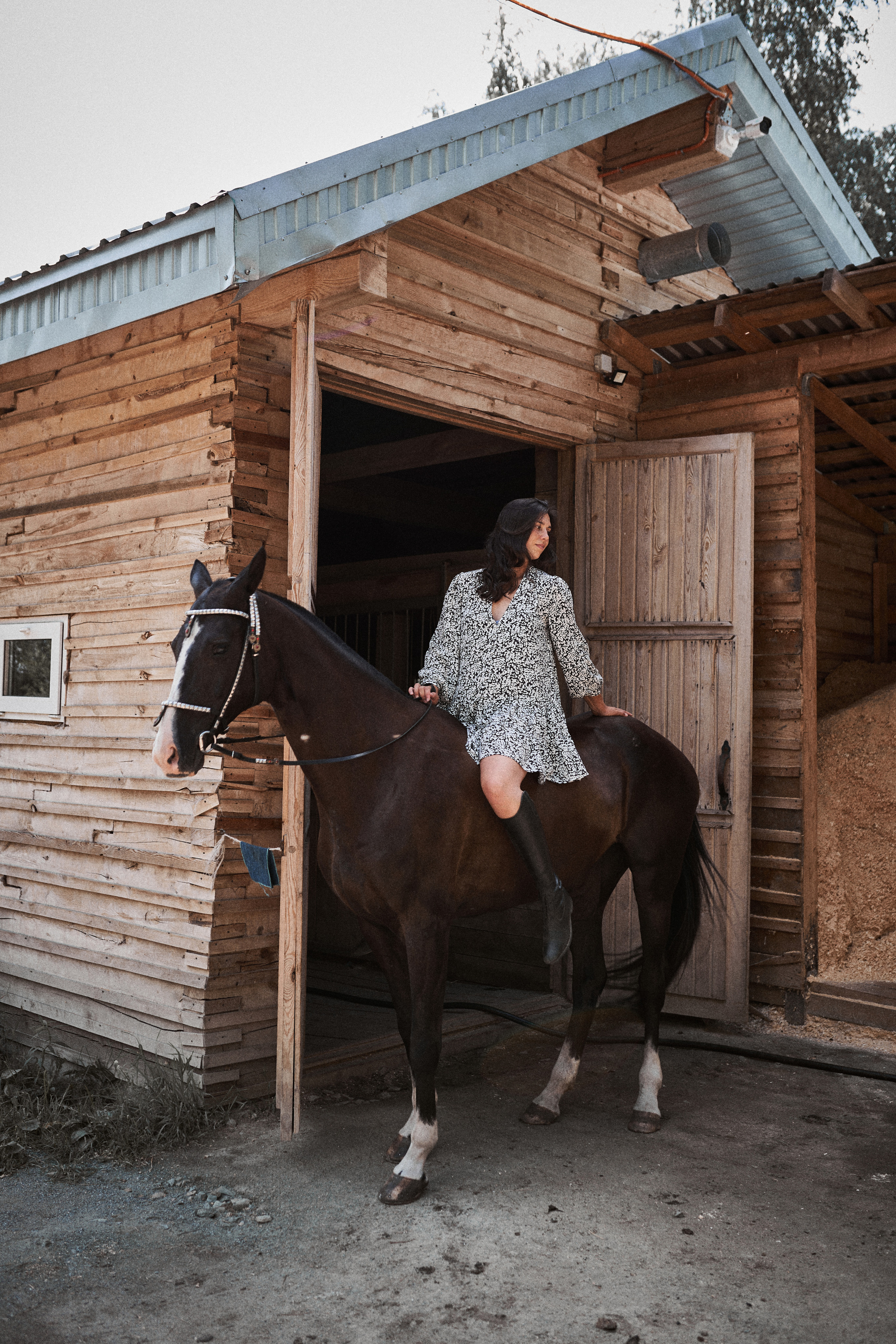 Дарья и ахалтекинцы. Конный клуб Каприоль. Фотосессии с лошадьми в Москве, Новосибирске
