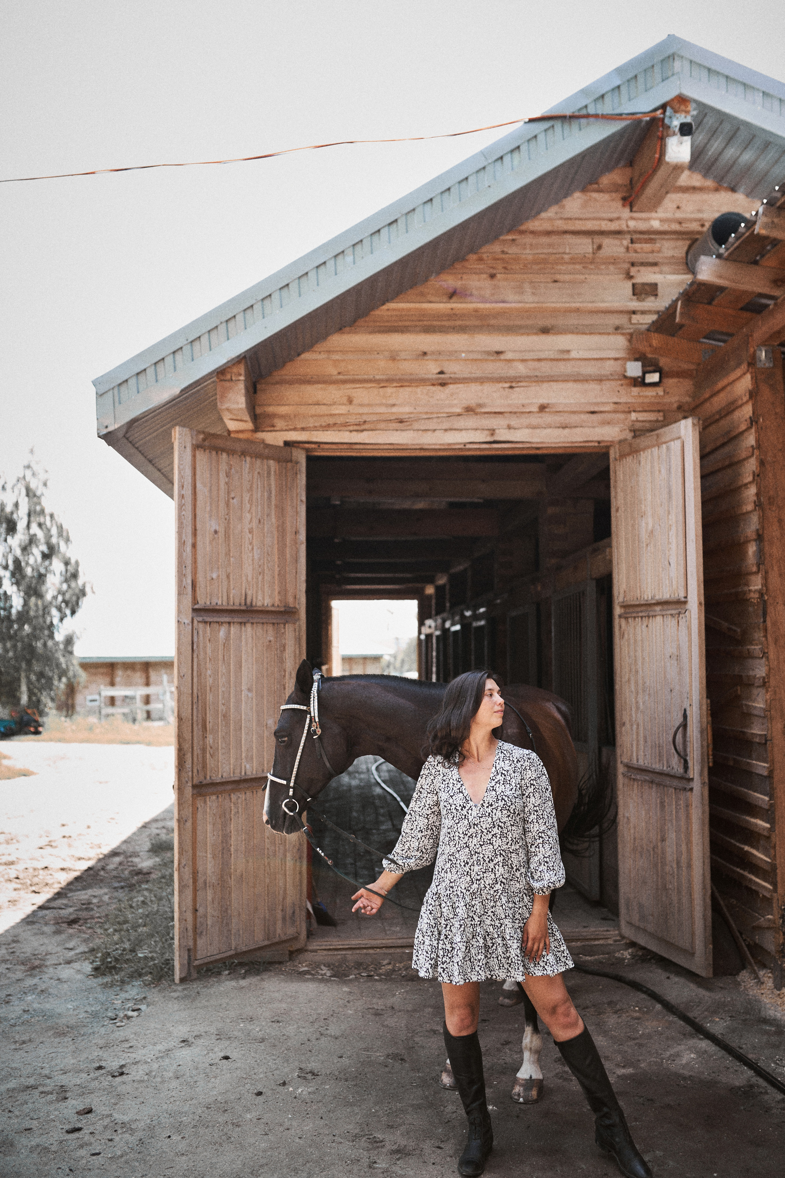 Дарья и ахалтекинцы. Конный клуб Каприоль. Фотосессии с лошадьми в Москве, Новосибирске