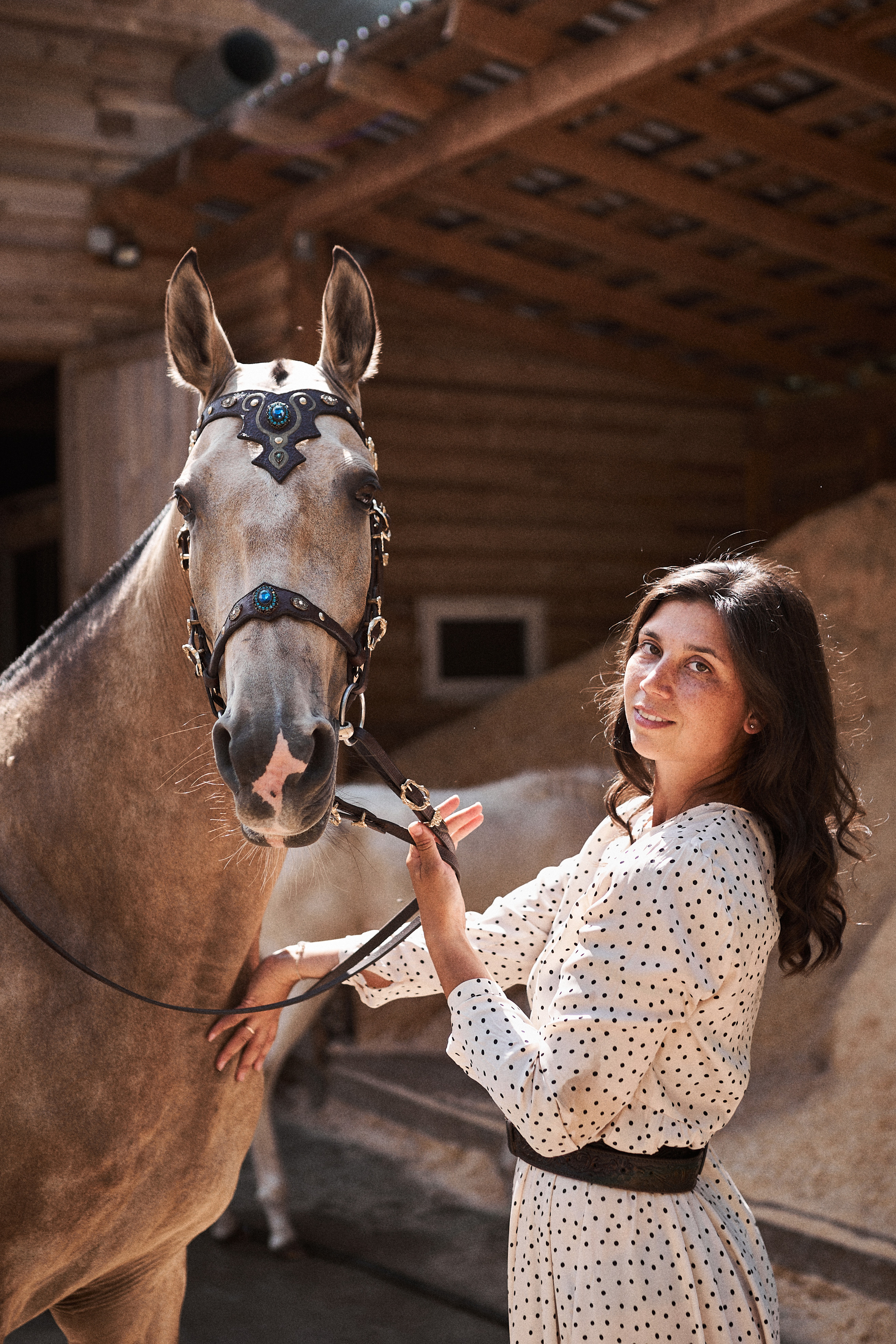 Дарья и ахалтекинцы. Конный клуб Каприоль. Фотосессии с лошадьми в Москве, Новосибирске