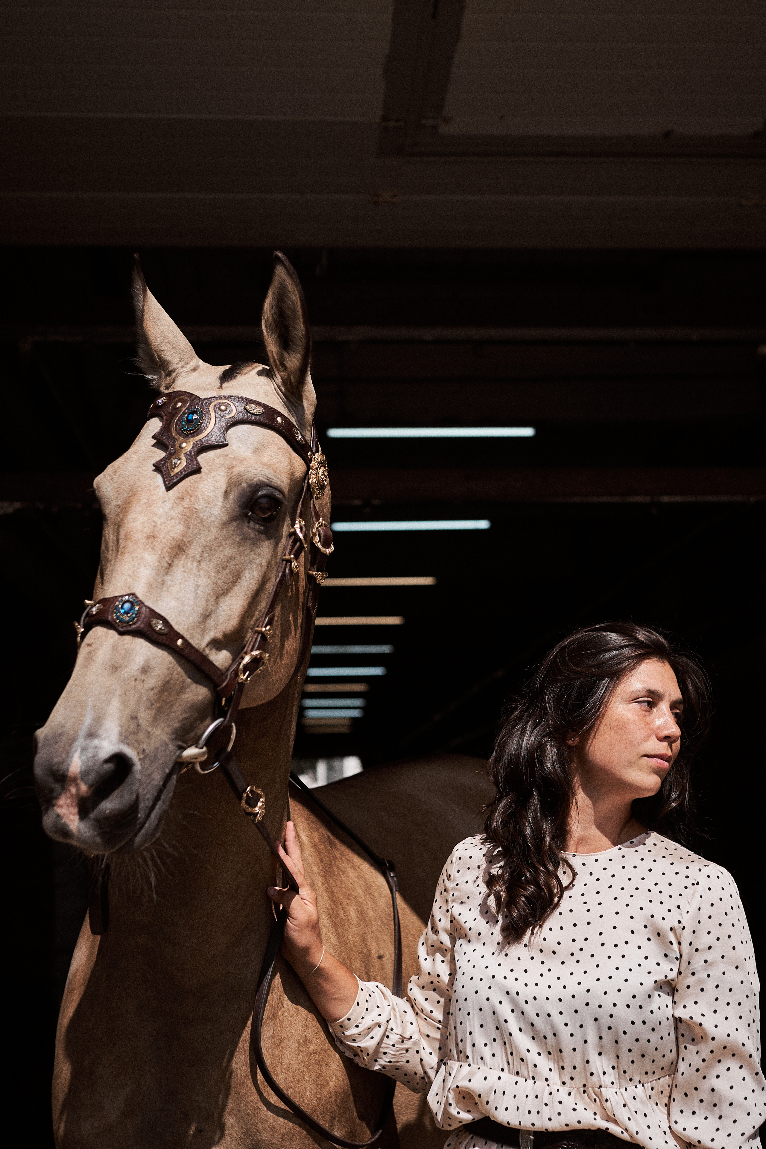 Дарья и ахалтекинцы. Конный клуб Каприоль. Фотосессии с лошадьми в Москве, Новосибирске