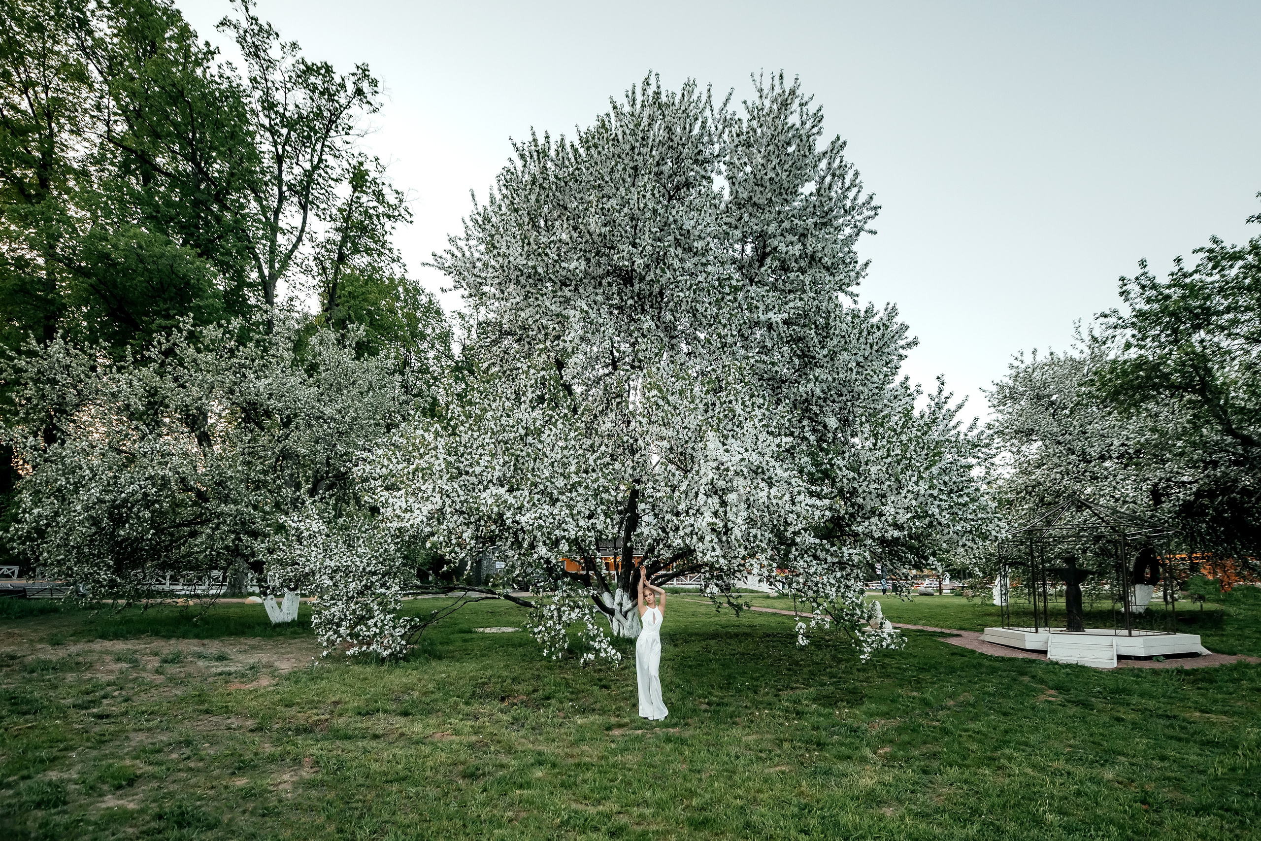Виолетта, цветение, Усадьба Гребнево. Свадебный и семейный фотограф Виктория Носачёва. Щелково, Москва и МО