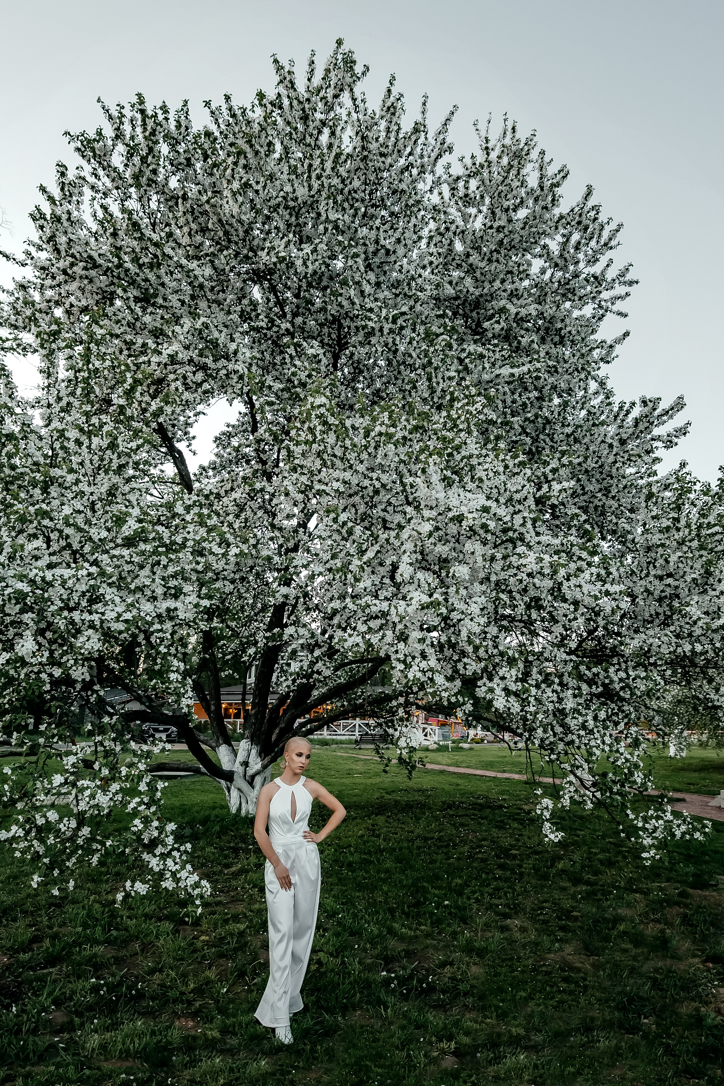 Виолетта, цветение, Усадьба Гребнево. Свадебный и семейный фотограф Виктория Носачёва. Щелково, Москва и МО