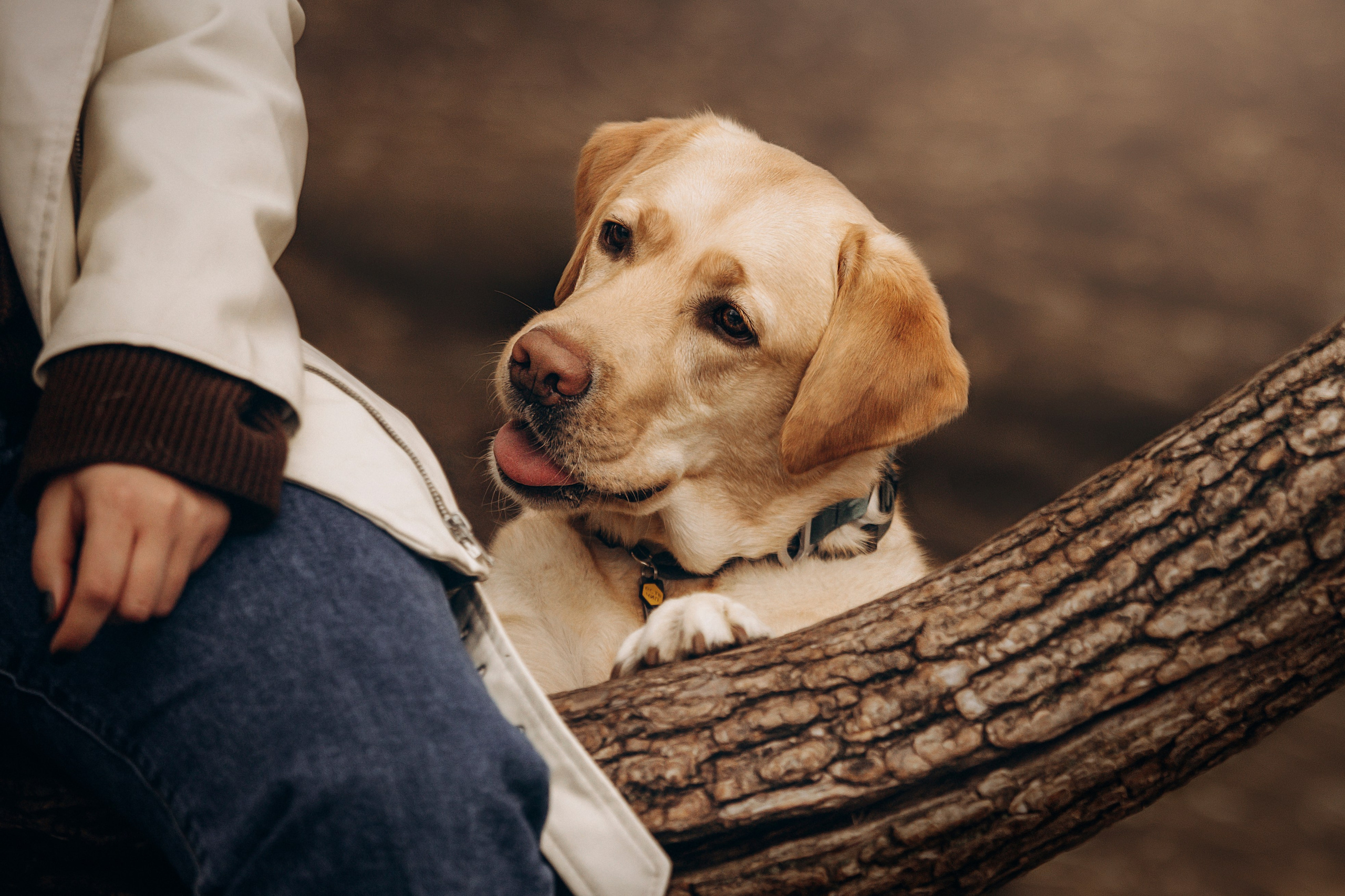 Шани и ее семья. Фотограф — Анималист | Санкт-Петербург