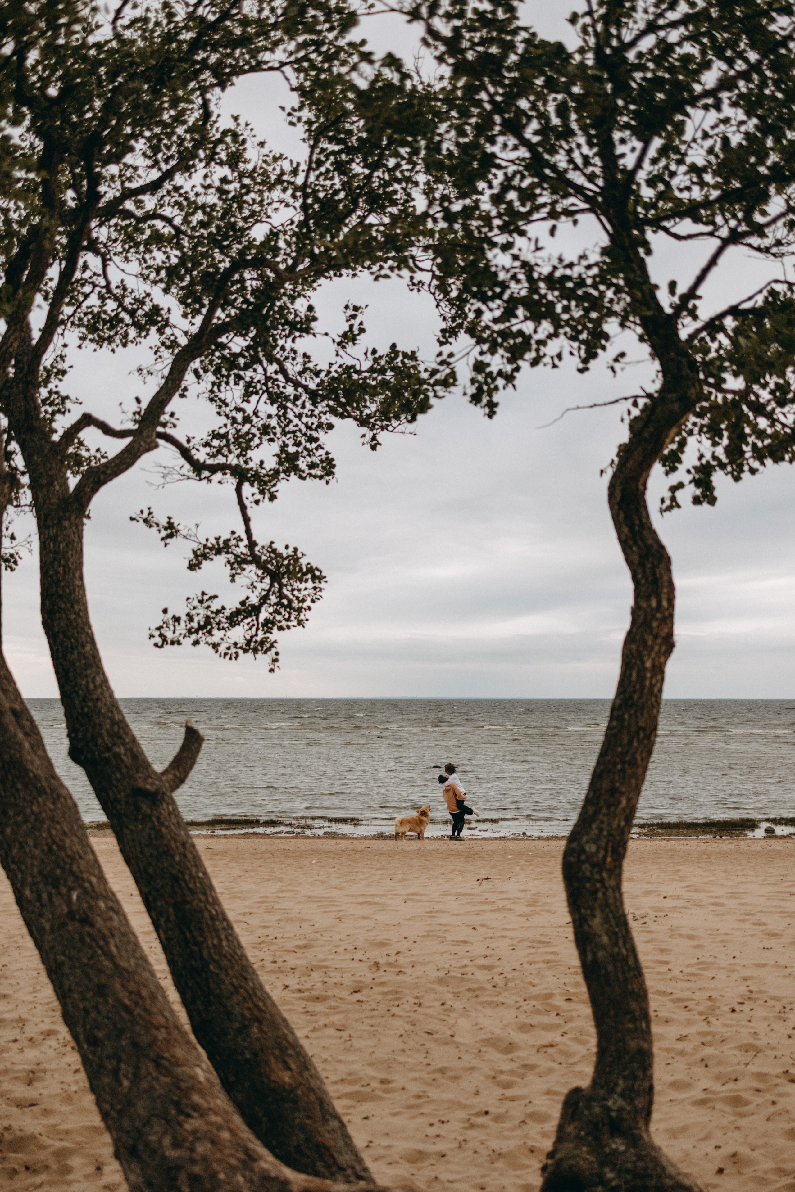 Фоси и его семьи. Фотограф — Анималист | Санкт-Петербург