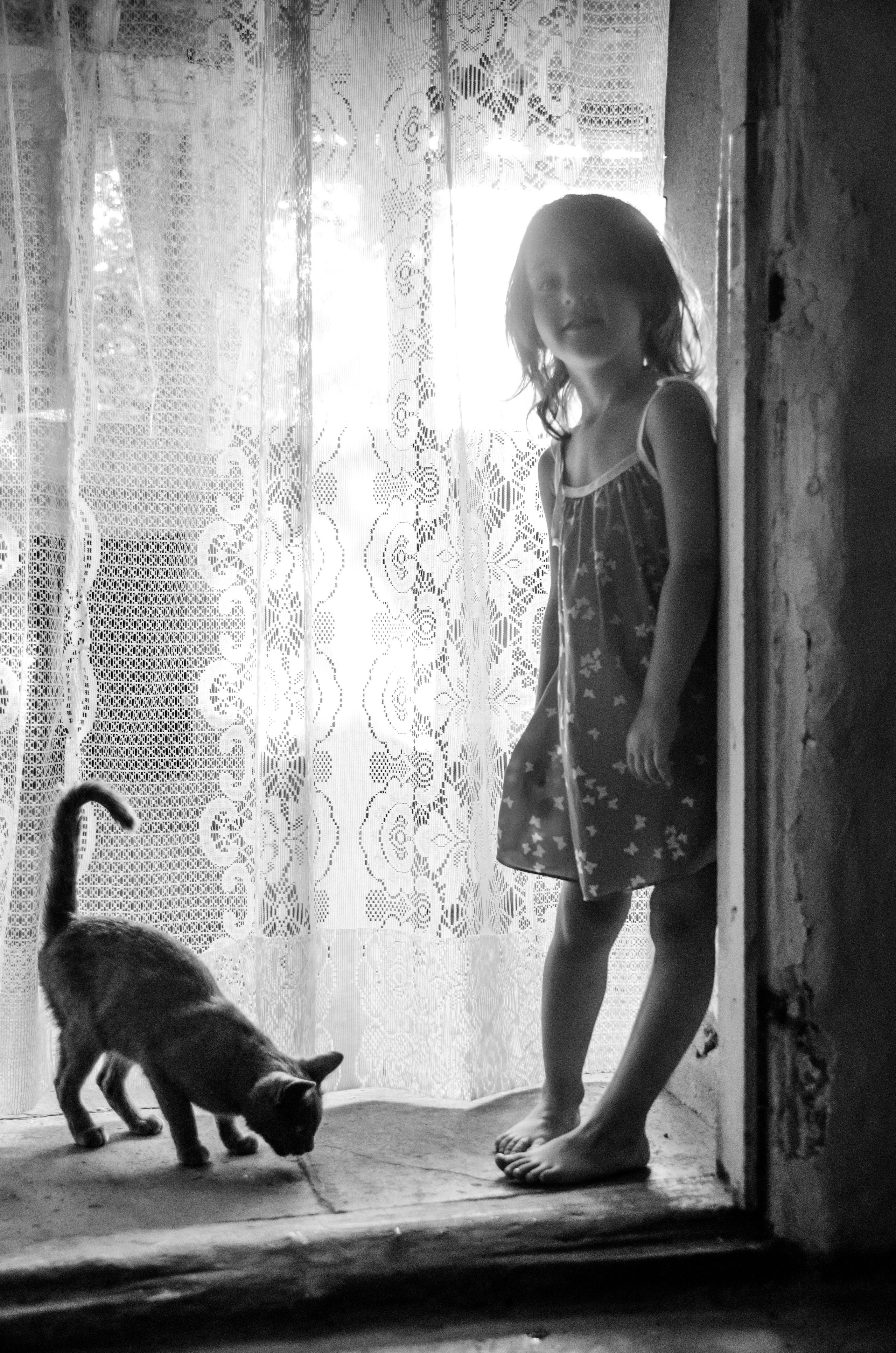 Серии «Кошка». Мультижанровый фотограф Дарья Strebog