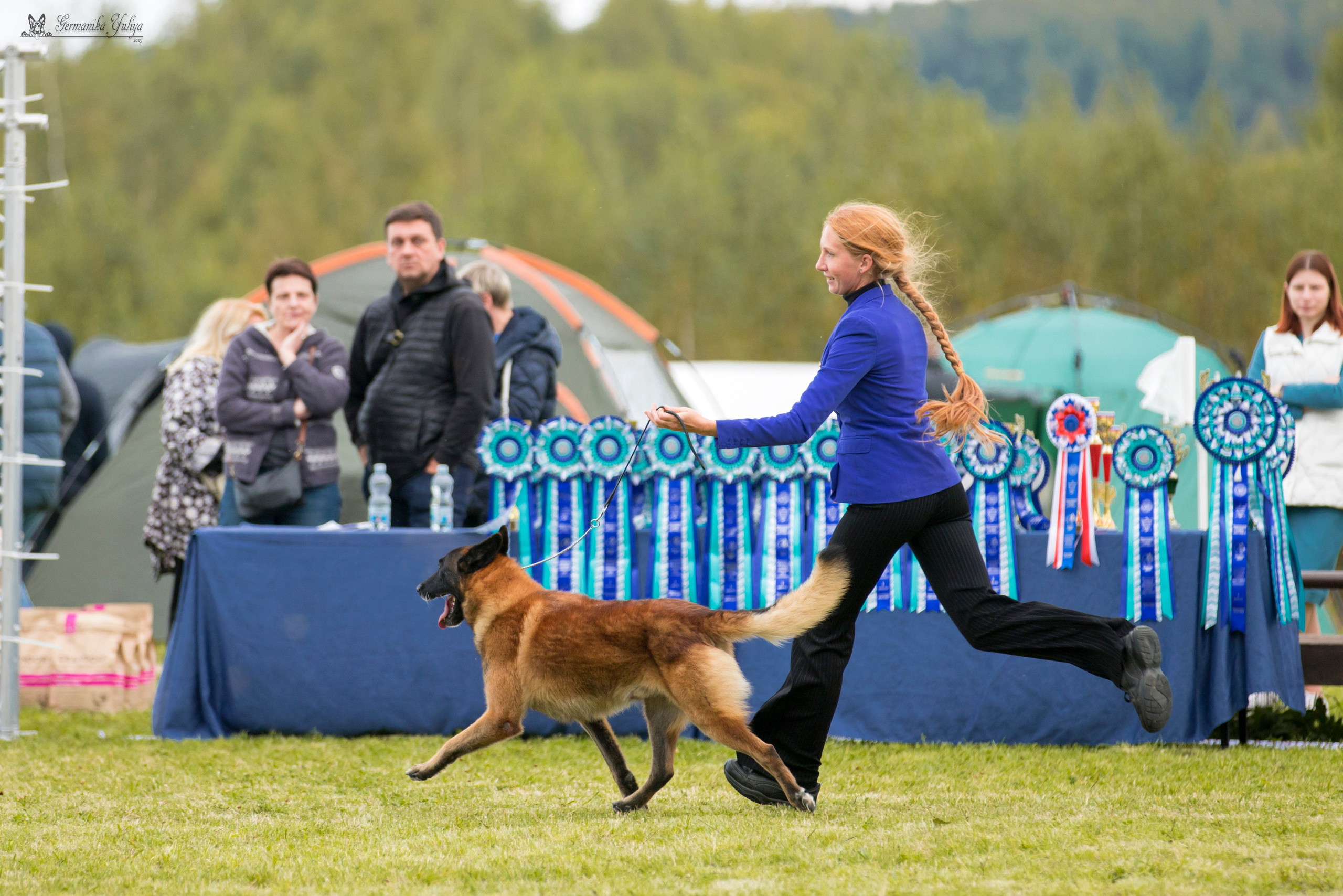 Переславль 9-10.09.2023. Фотограф-анималист Юлия Германика