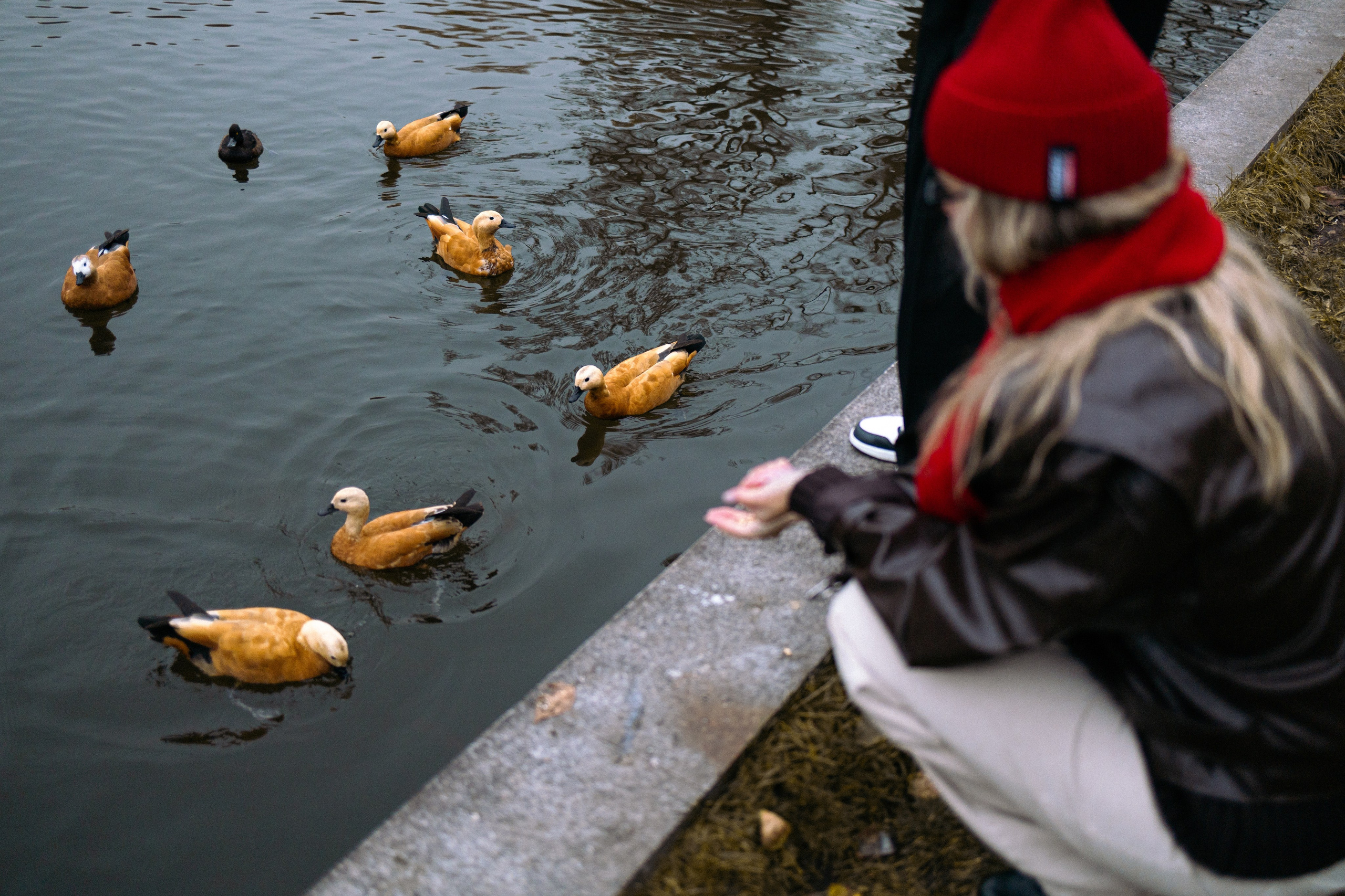 Валера+Даша. Фотограф Полина Абрамова